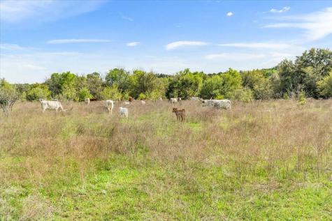 Tbd 252 Acres Dan Morgan Road China Spring TX 76633