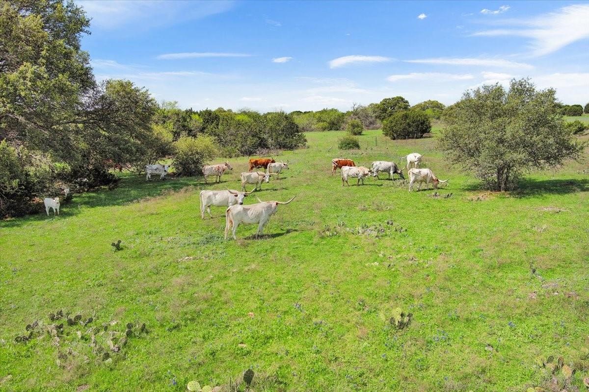 Tbd 252 Acres Dan Morgan Road China Spring TX 76633