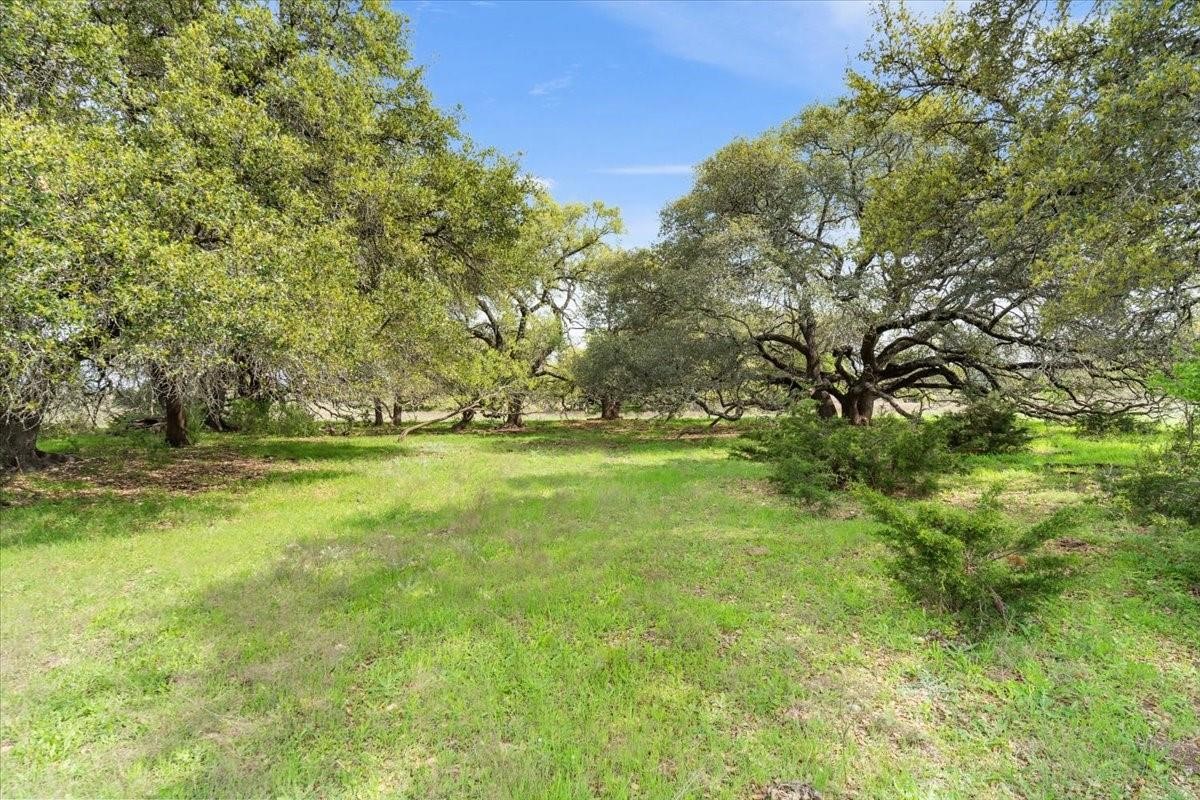 Tbd 252 Acres Dan Morgan Road China Spring TX 76633