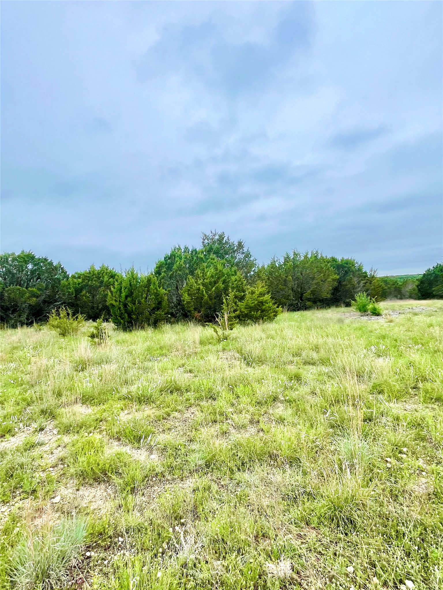 Tbd Pr 16026 Jonesboro TX 76538