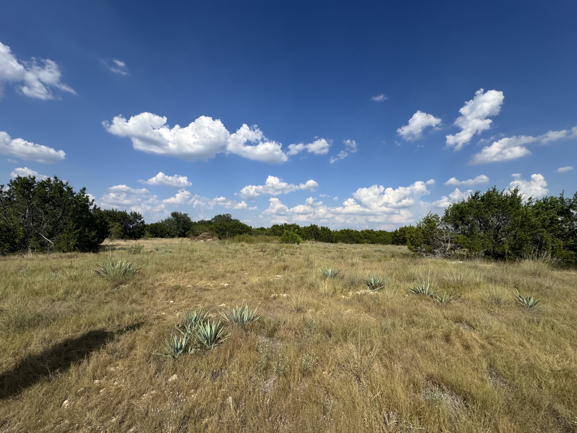 1096 Creek Crossing Road Nemo TX 76070