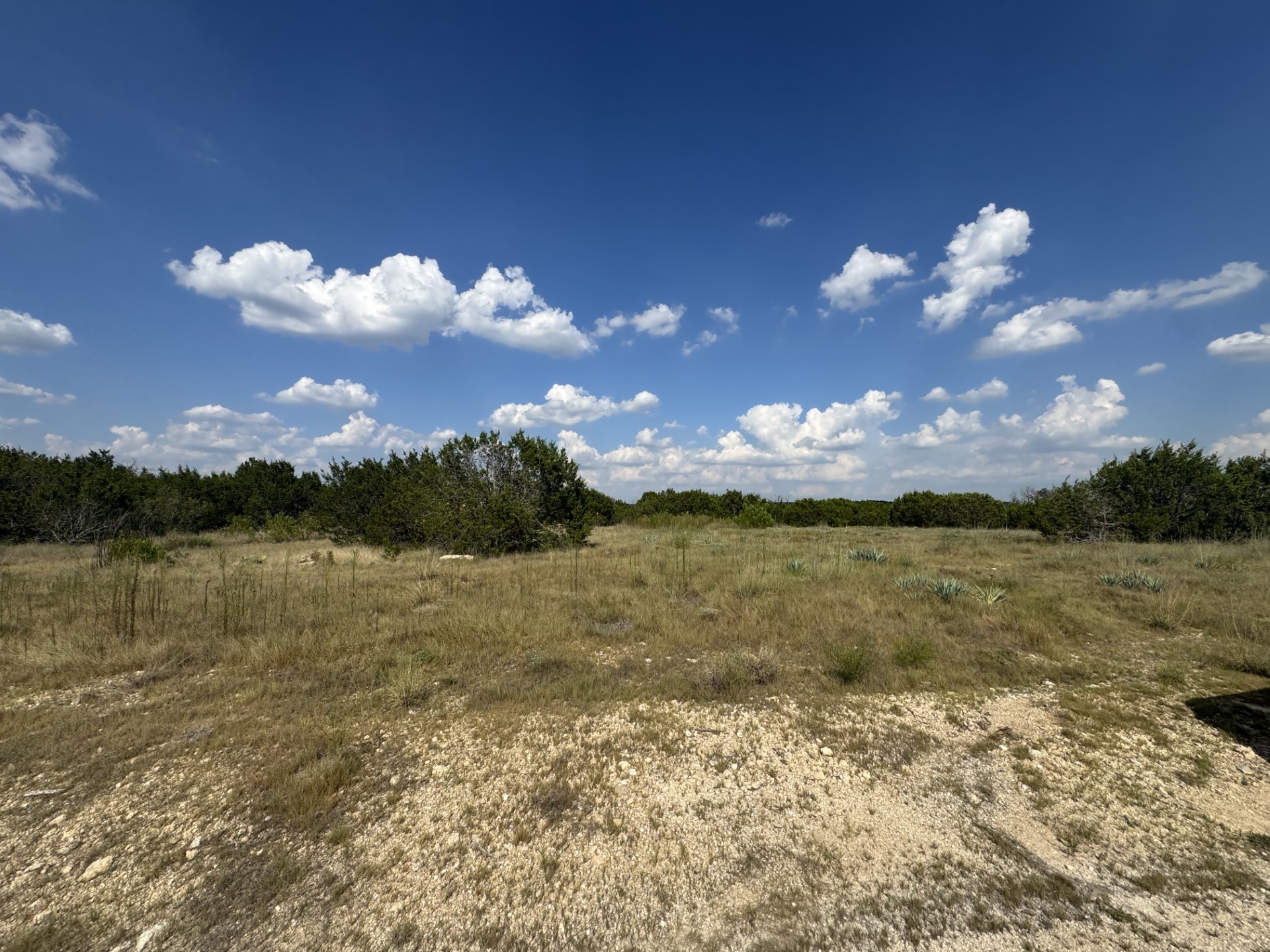 1096 Creek Crossing Road Nemo TX 76070
