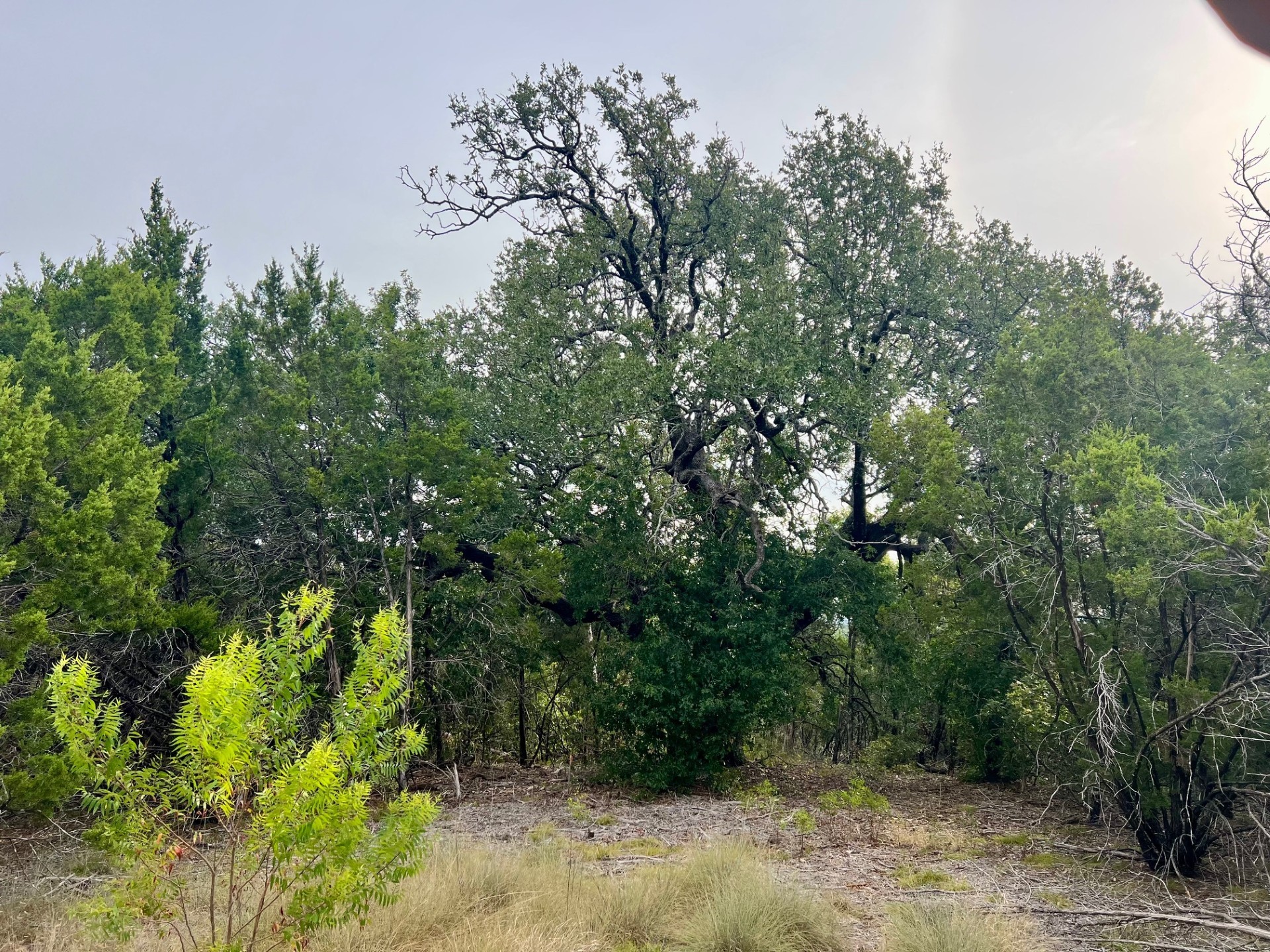 1096 Creek Crossing Road Nemo TX 76070