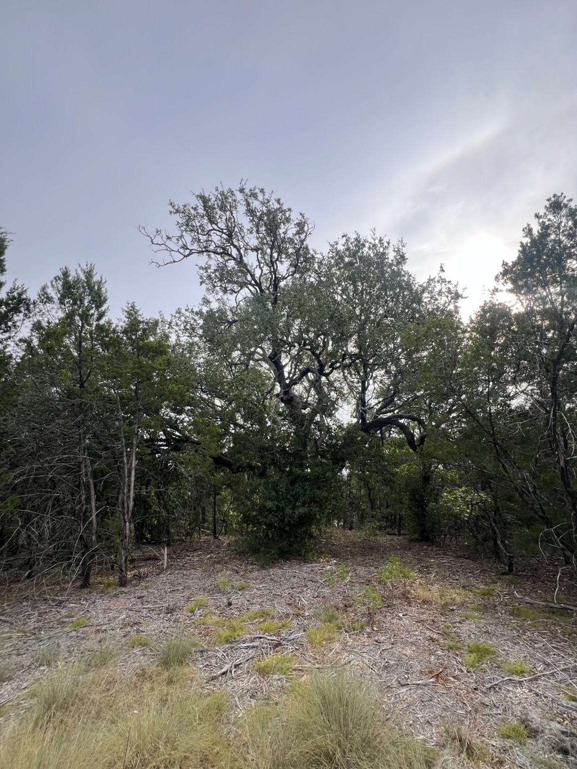 1096 Creek Crossing Road Nemo TX 76070
