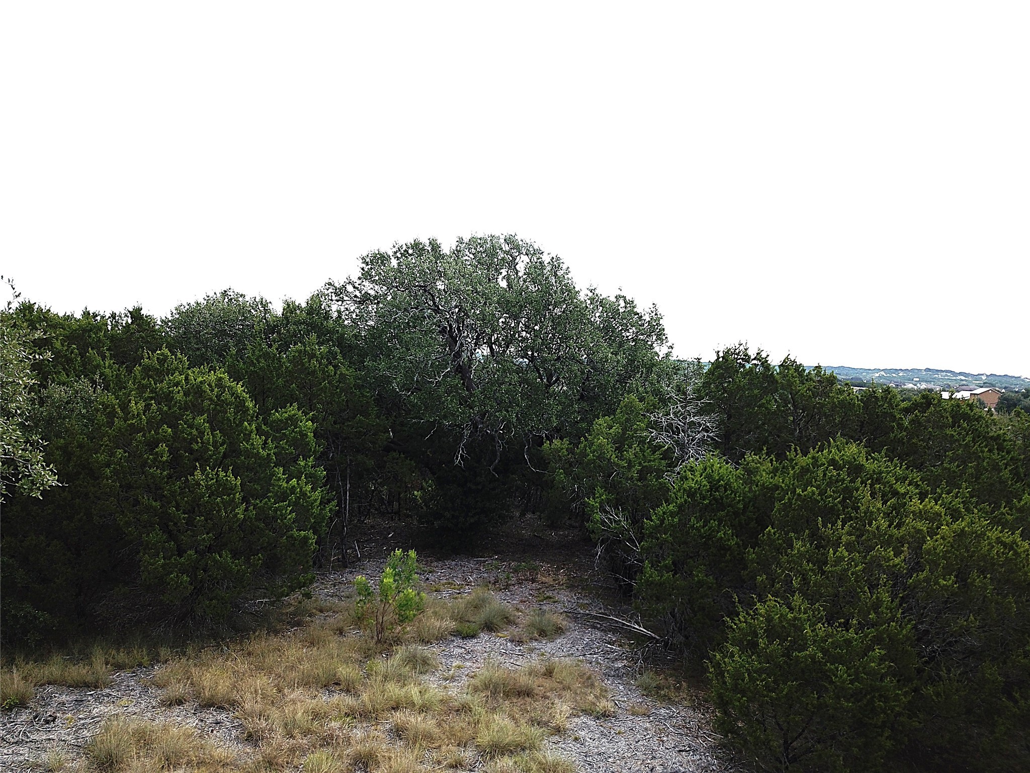 1096 Creek Crossing Road Nemo TX 76070