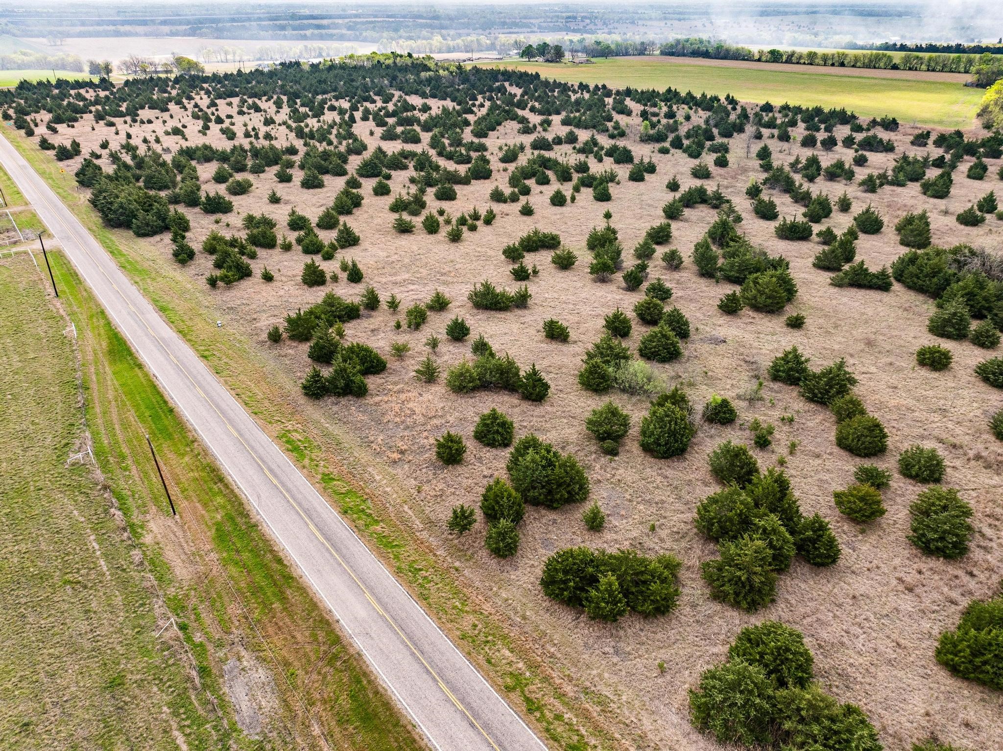 Tbd Fm 128 Cooper TX 75432