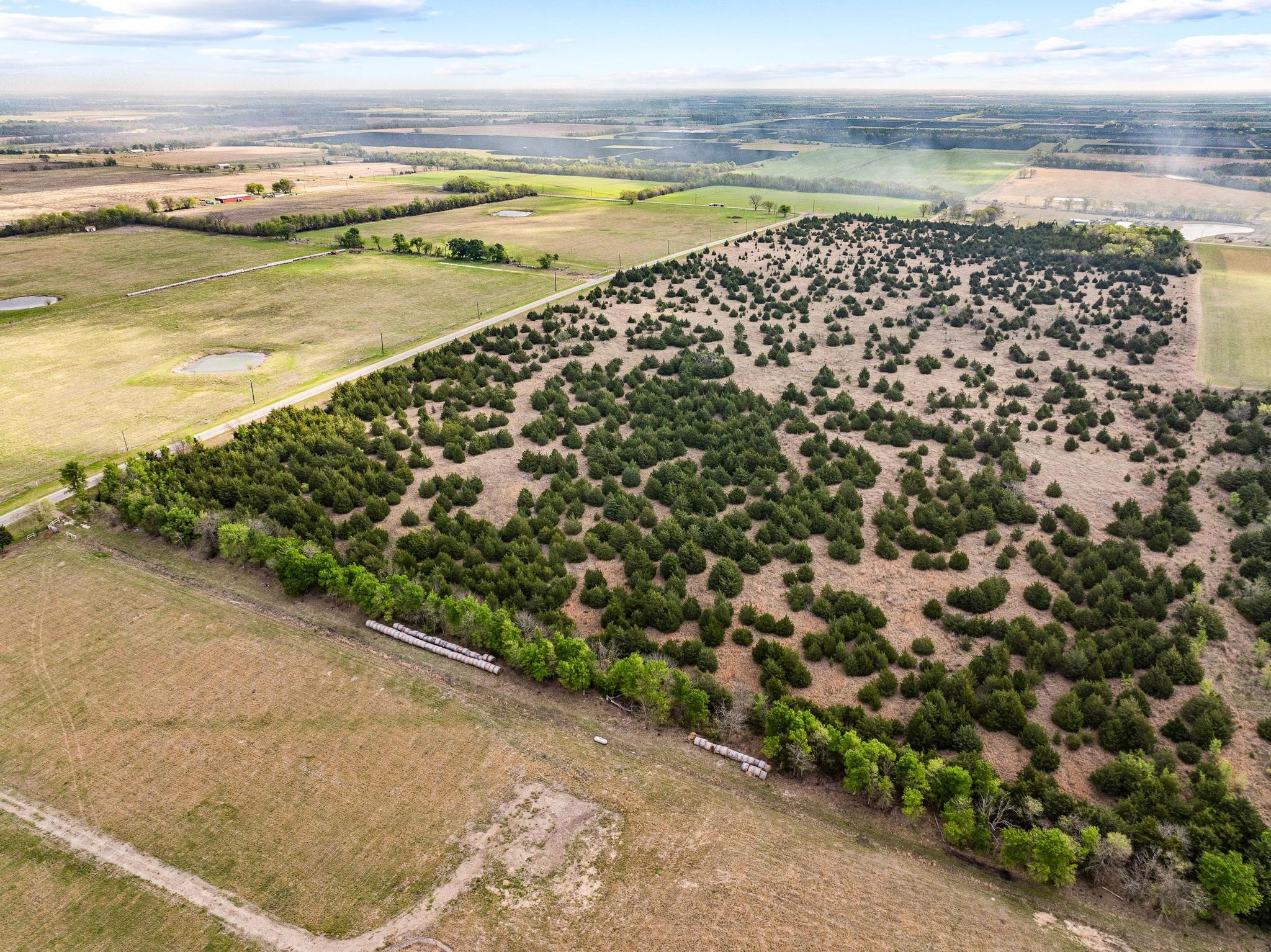 Tbd Fm 128 Cooper TX 75432