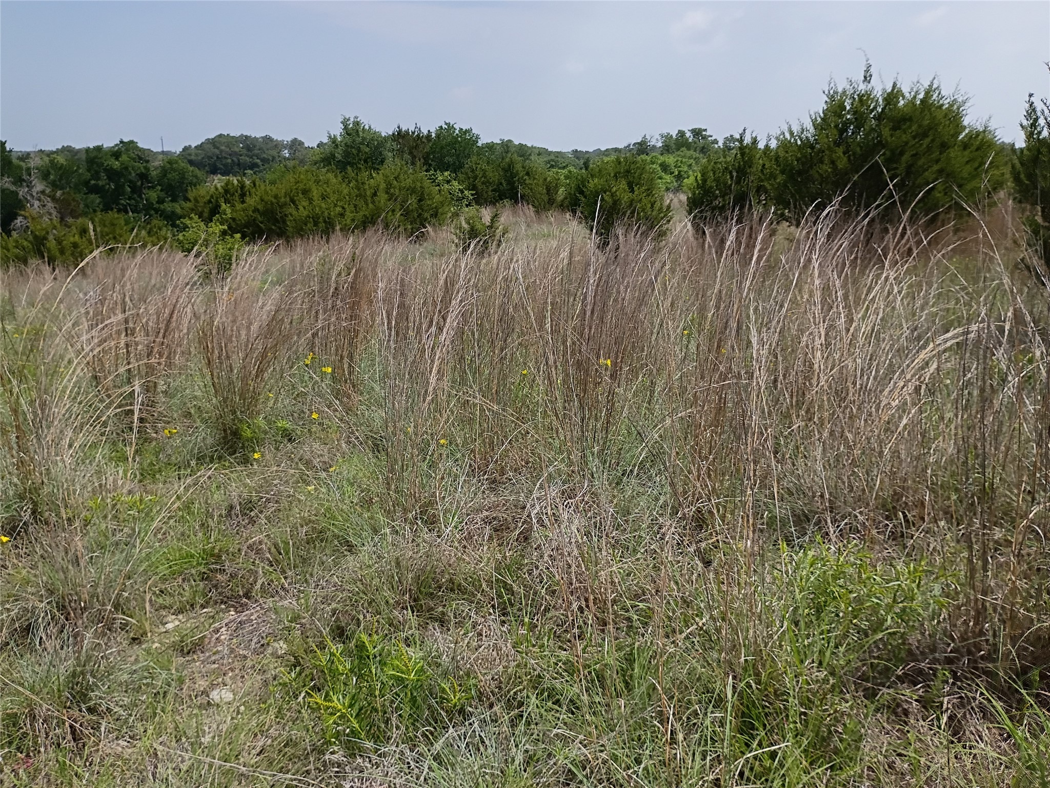 Tbd Pr 2901 Hamilton TX 76531