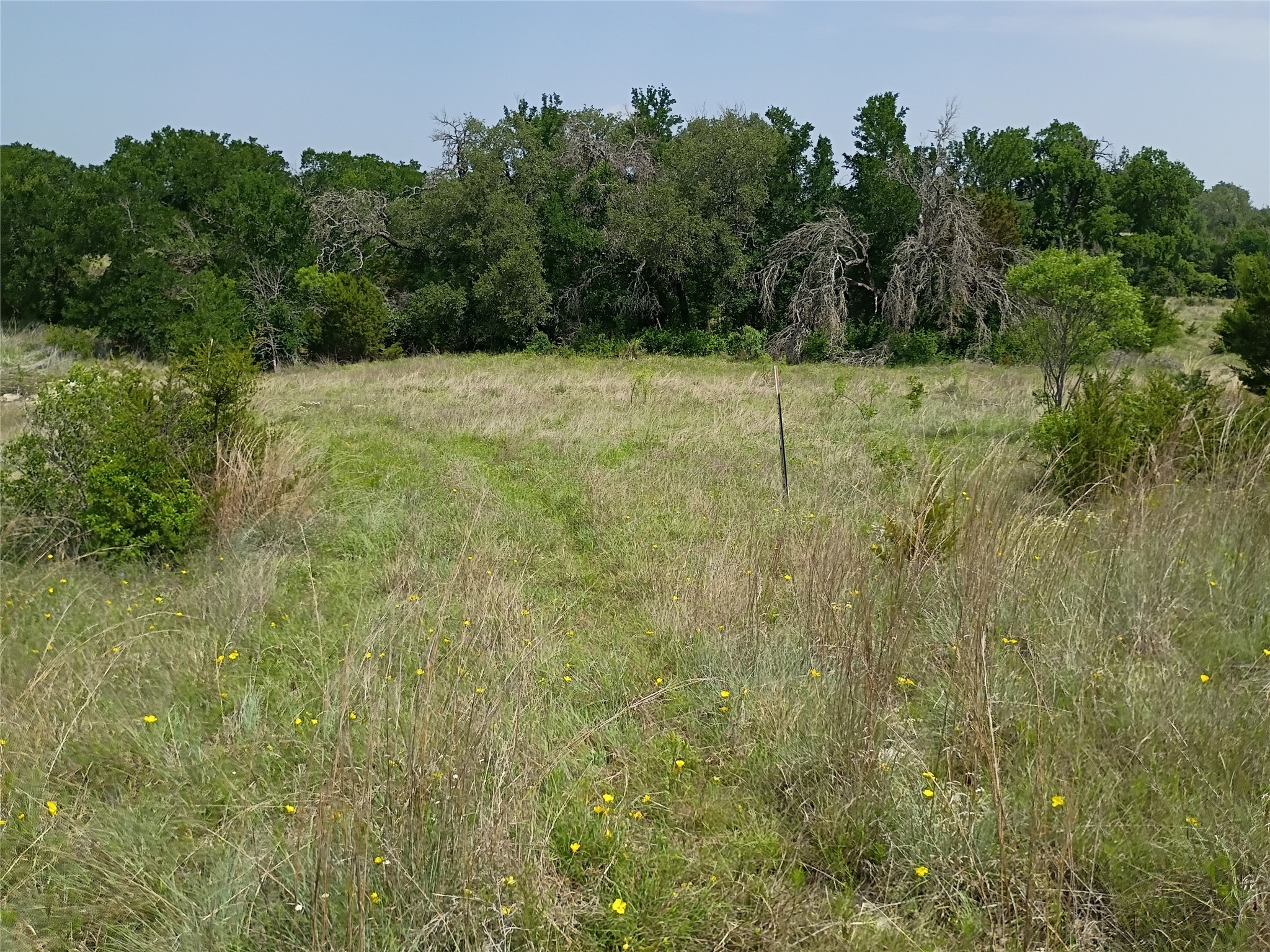 Tbd Pr 2901 Hamilton TX 76531