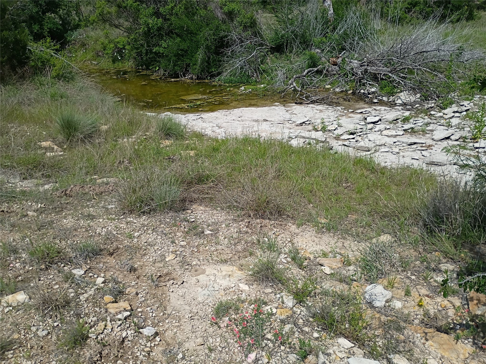 Tbd Pr 2901 Hamilton TX 76531