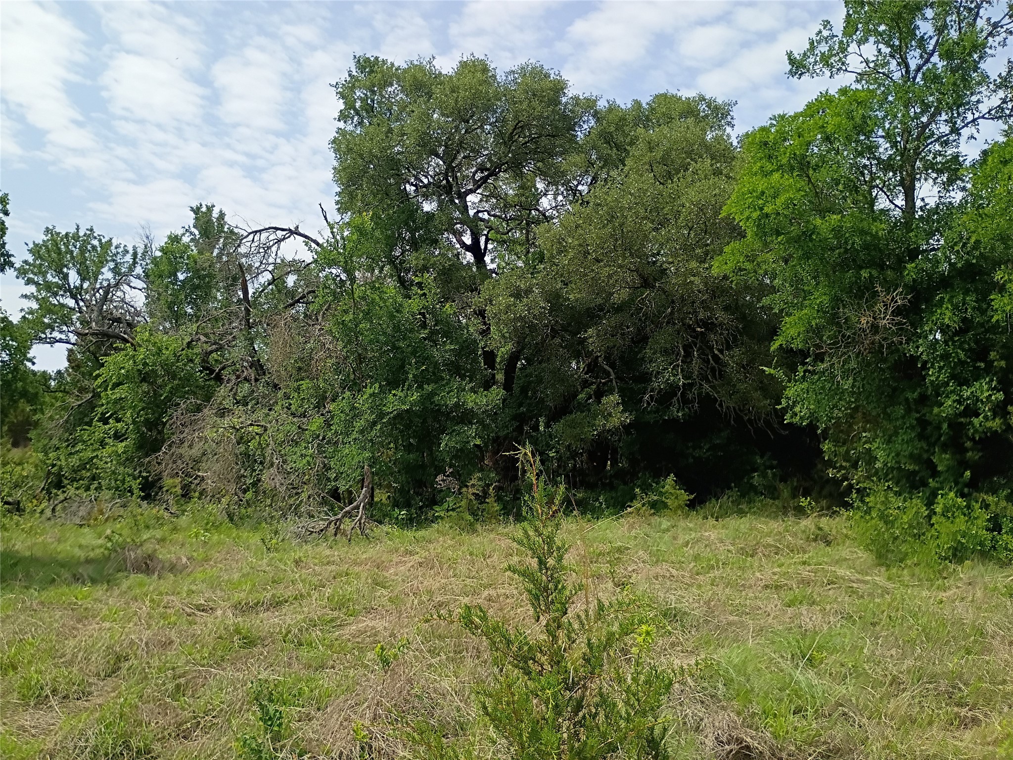 Tbd Pr 2901 Hamilton TX 76531