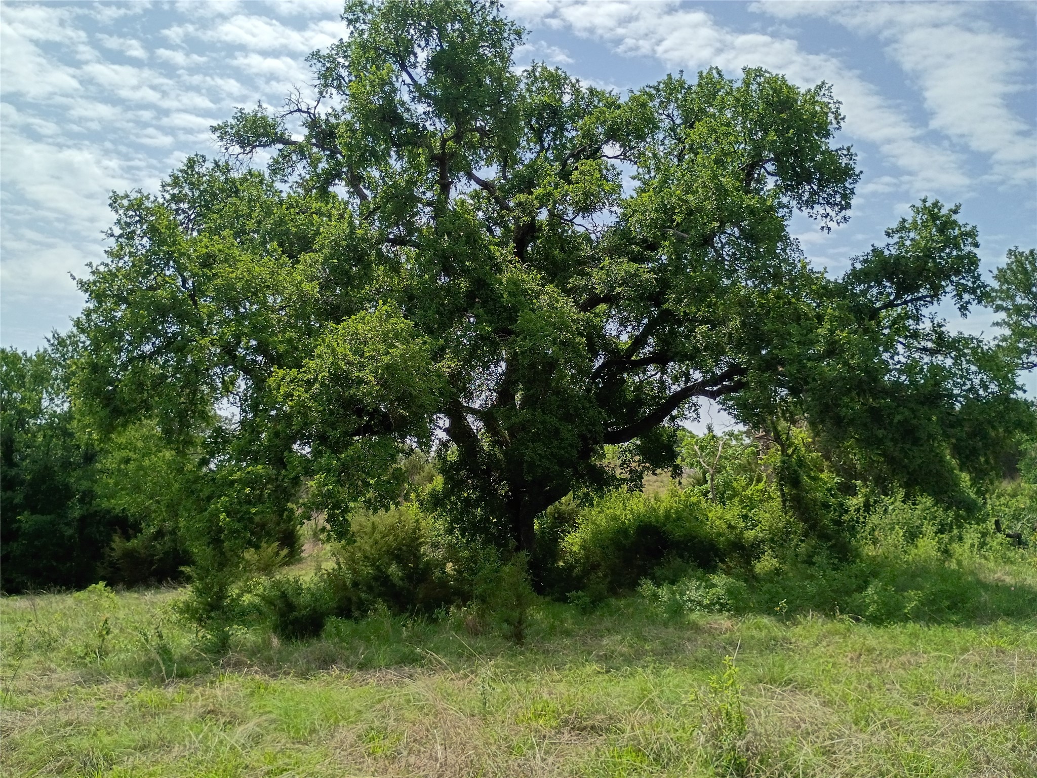 Tbd Pr 2901 Hamilton TX 76531