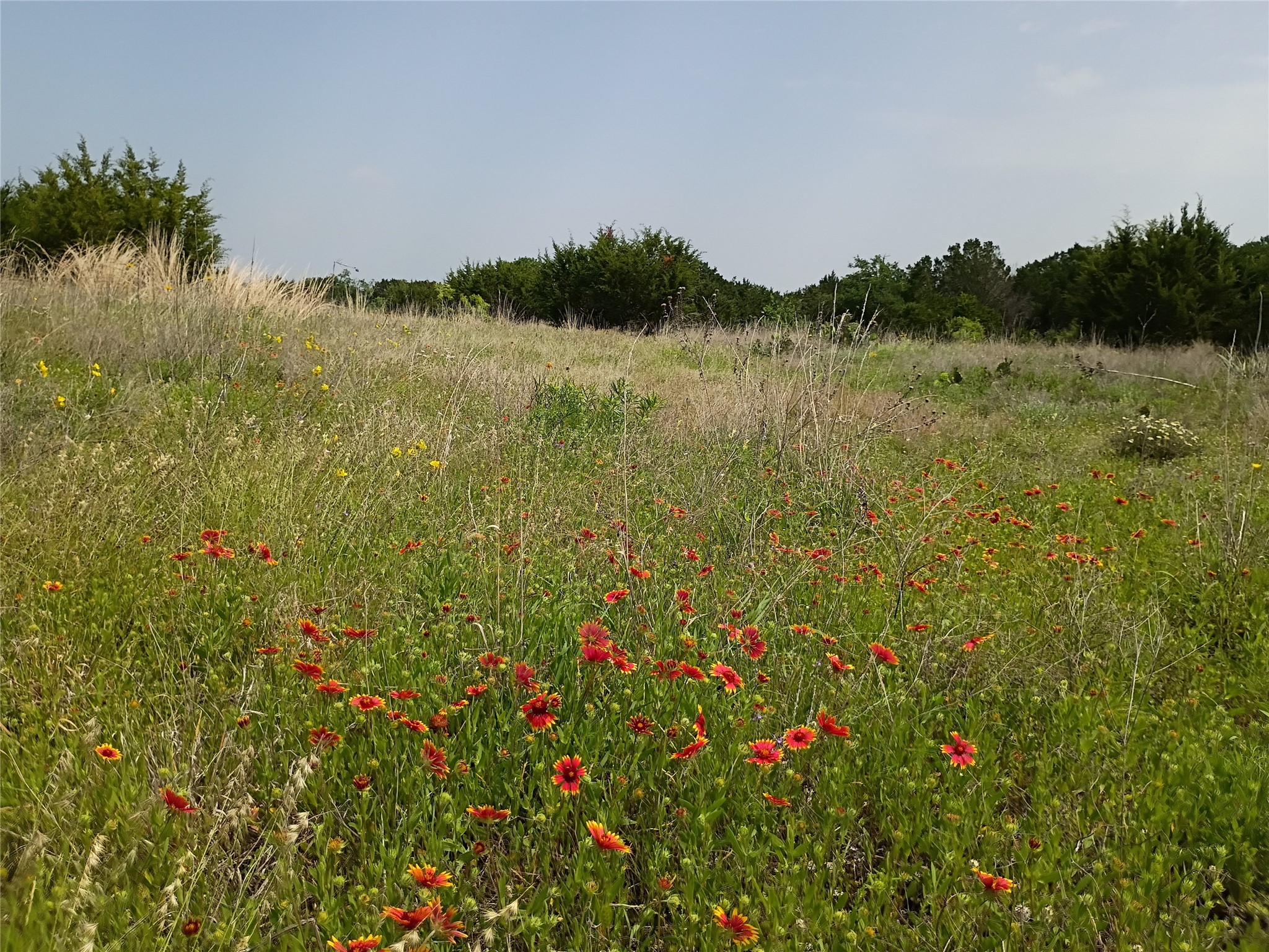 Tbd Pr 2901 Hamilton TX 76531