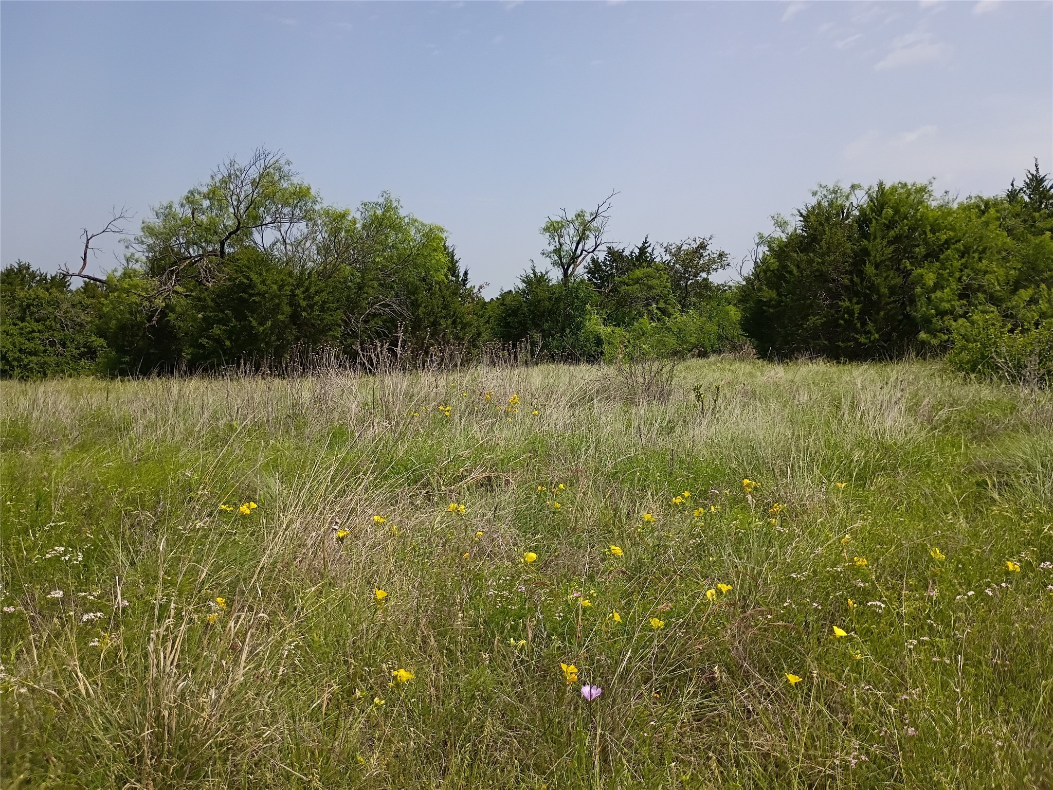 Tbd Pr 2901 Hamilton TX 76531