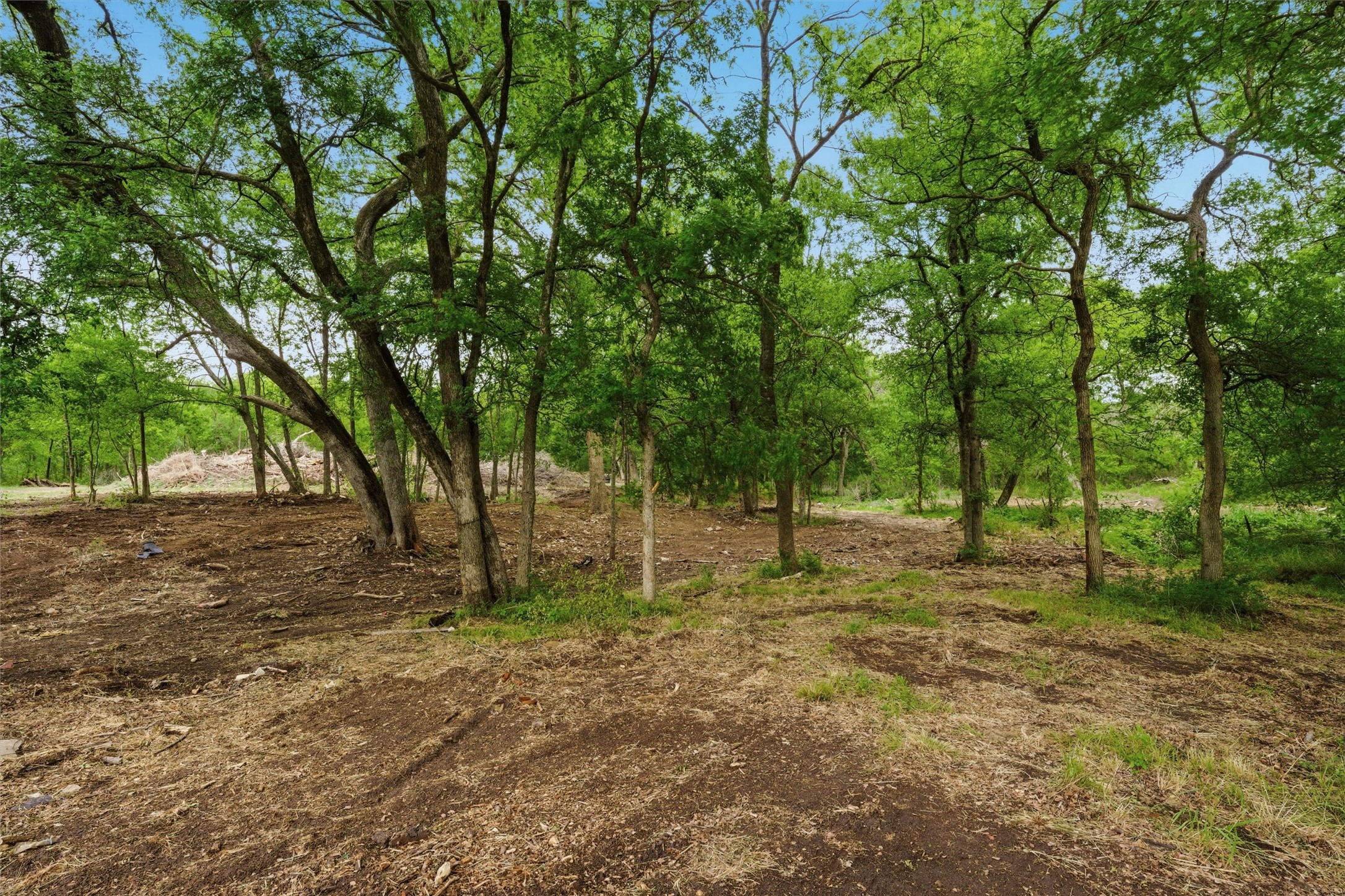 Tbd Williams Road Waco TX 76705