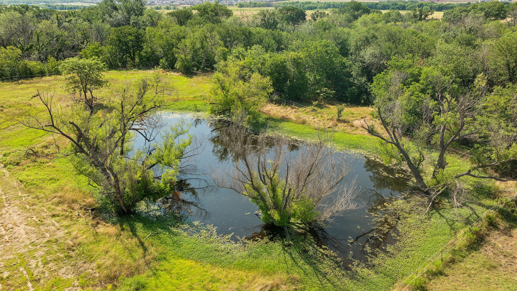12932 Ragsdale Circle Aubrey TX 76227