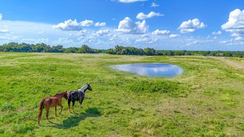Tbd Lot 4 NW Cr 0150 Ennis TX 75119
