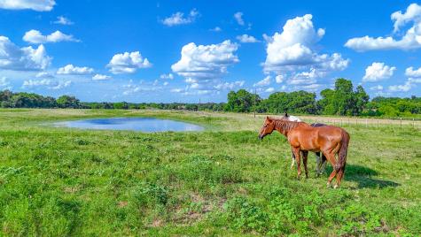 Tbd Lot 4 NW Cr 0150 Ennis TX 75119