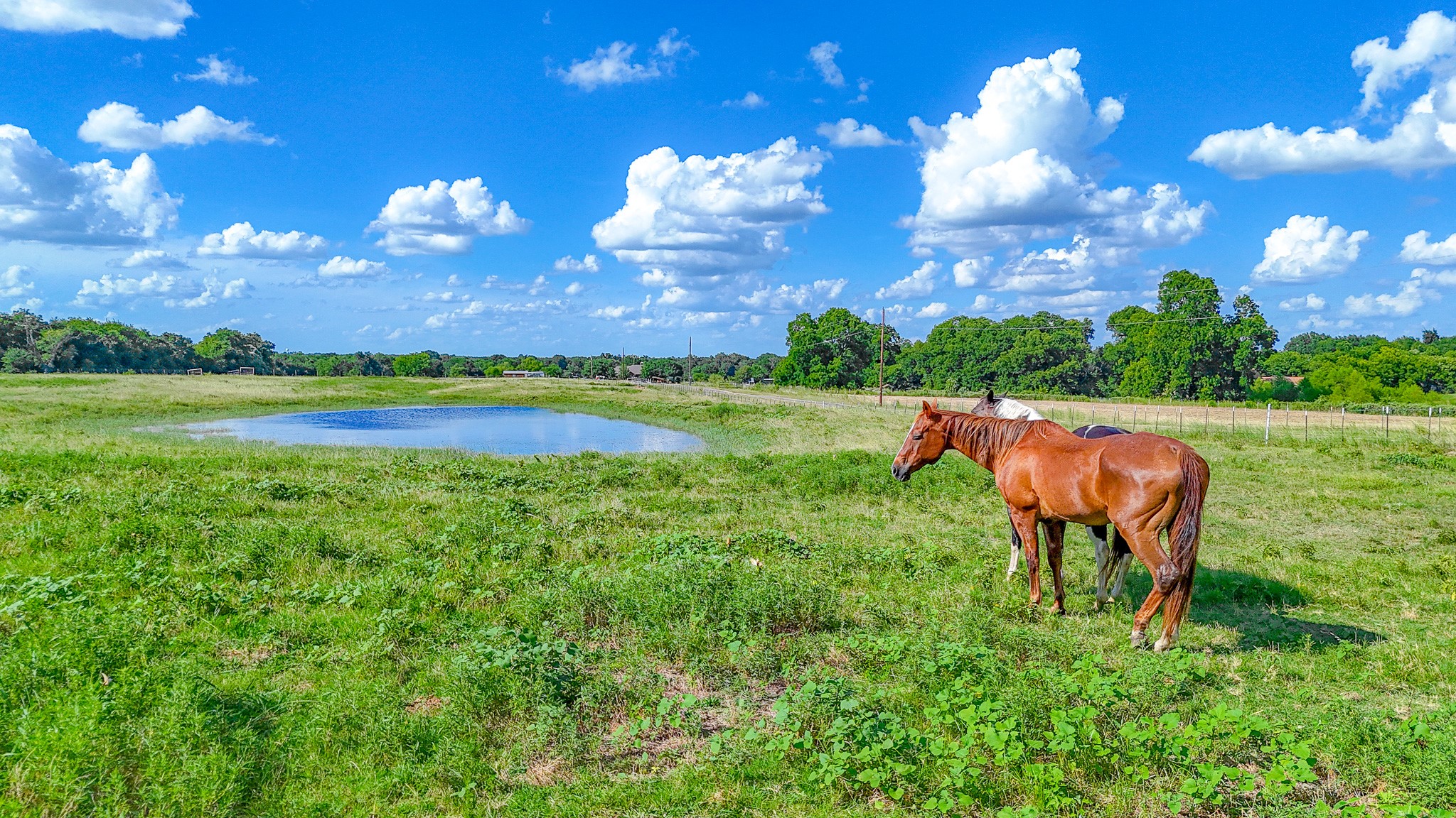 Tbd Lot 4 NW Cr 0150 Ennis TX 75119