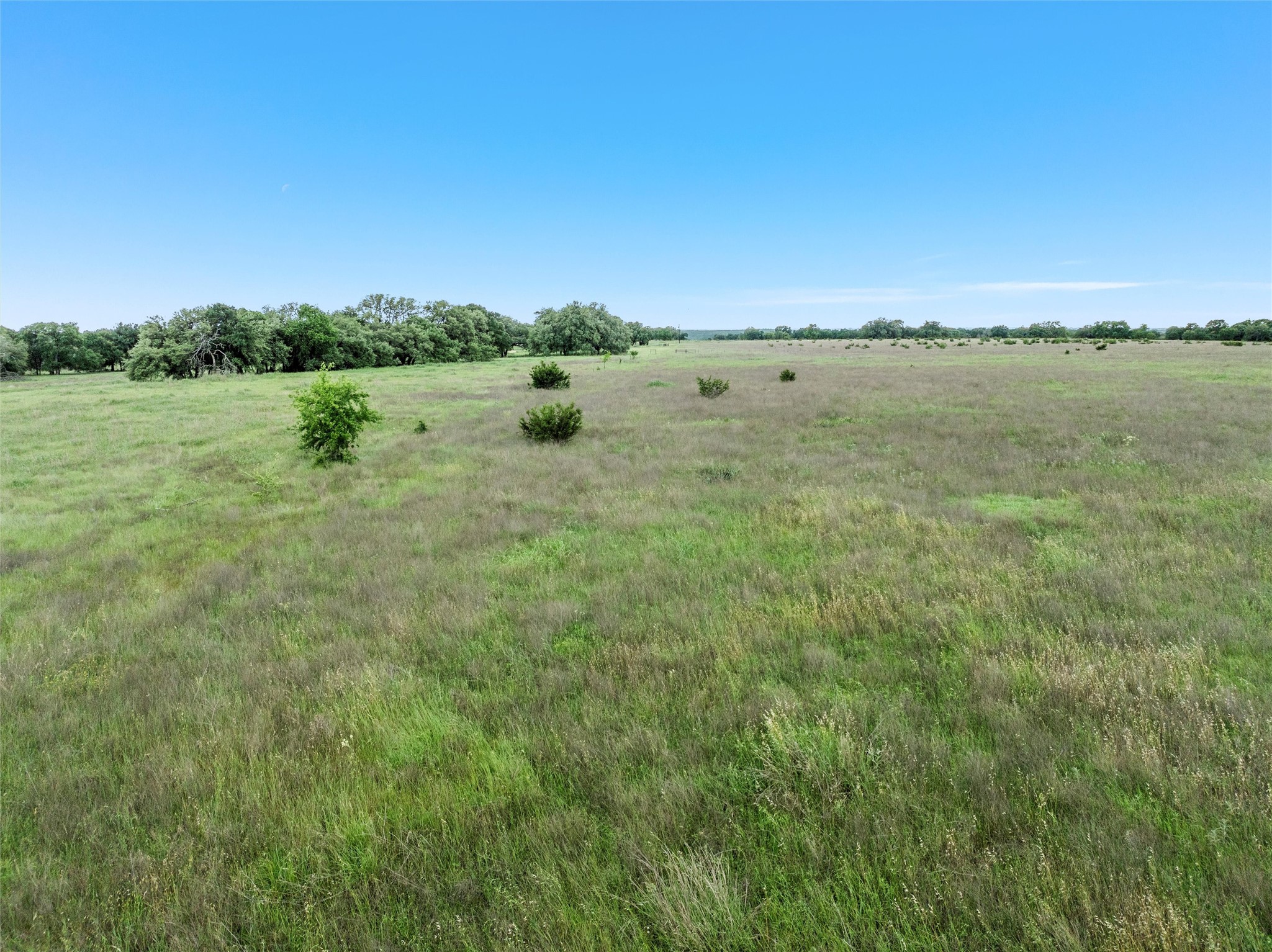 446 Grand Canyon Drive Oglesby TX 76561