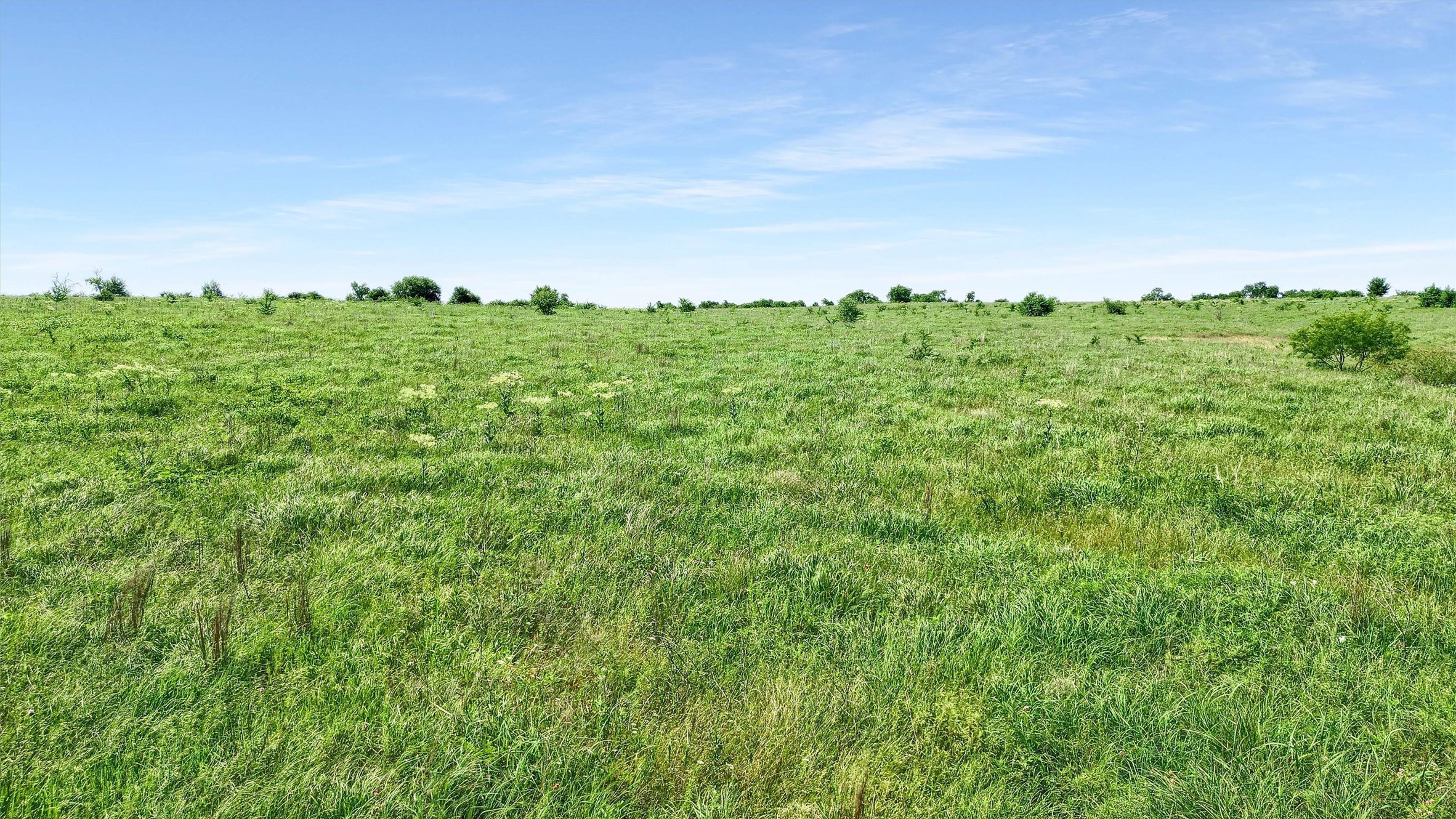Tbd Spalding Road Whitesboro TX 76273