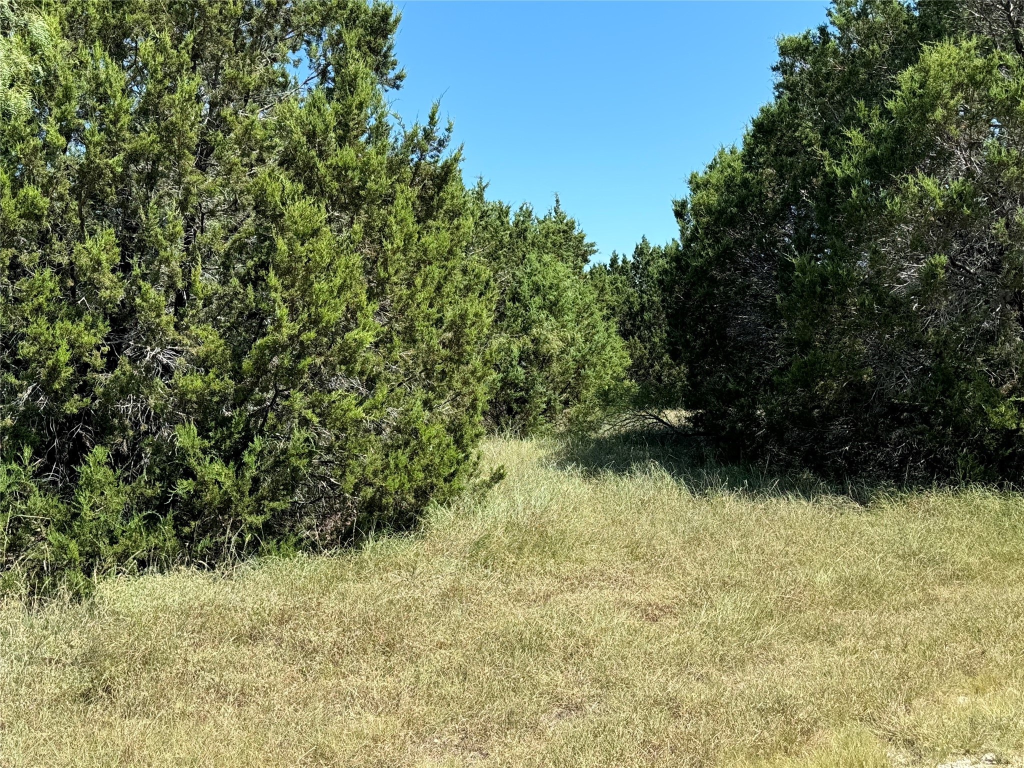 40057 Radde Road Whitney TX 76692