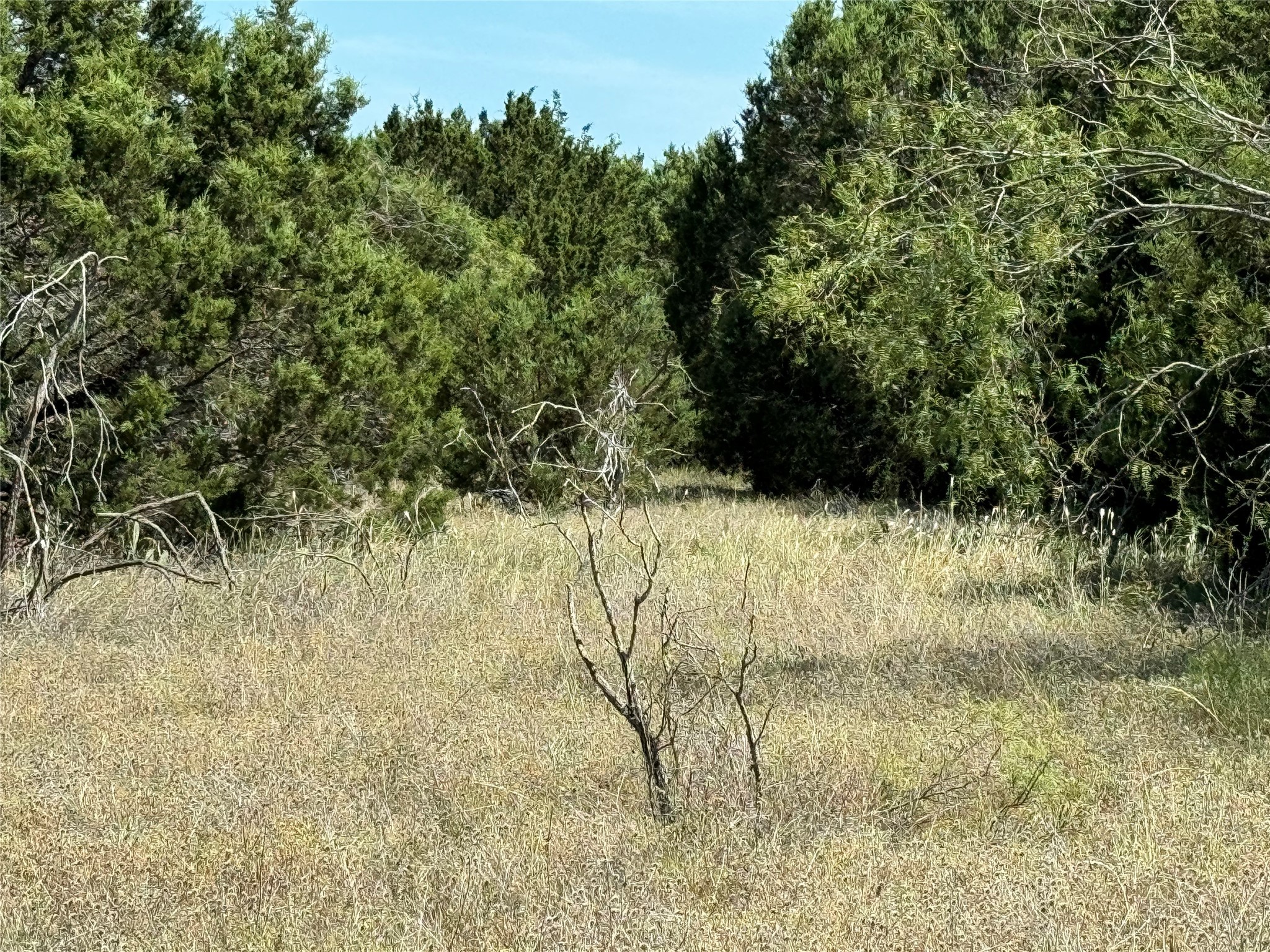 40057 Radde Road Whitney TX 76692