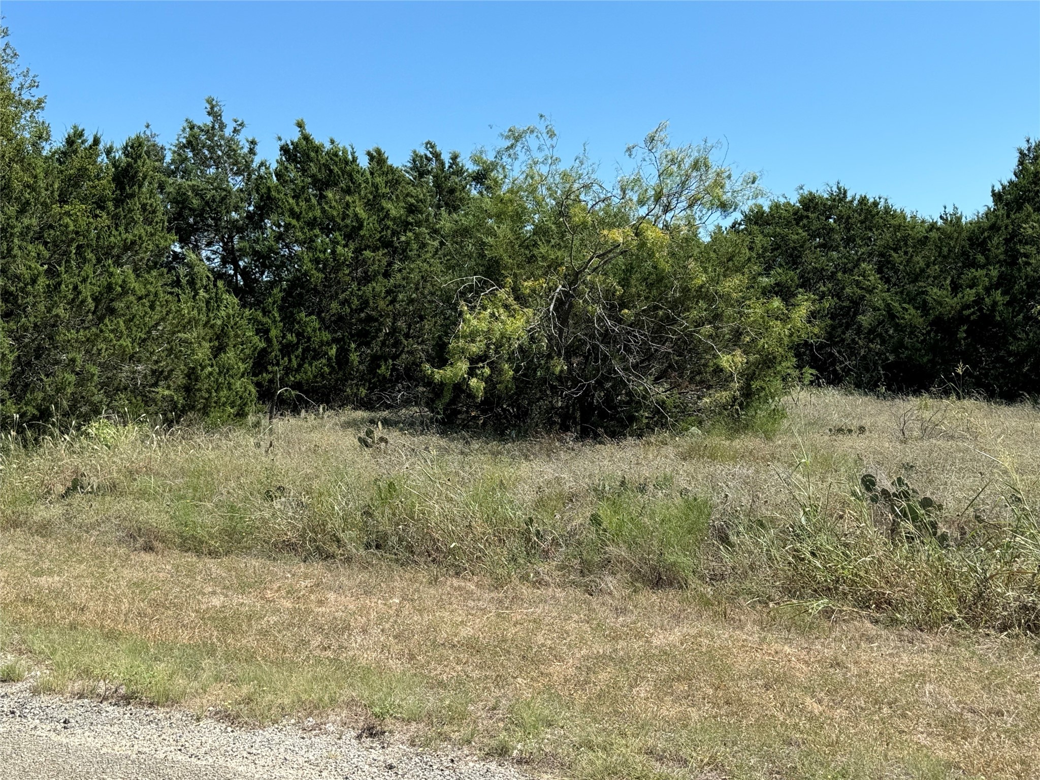 40057 Radde Road Whitney TX 76692