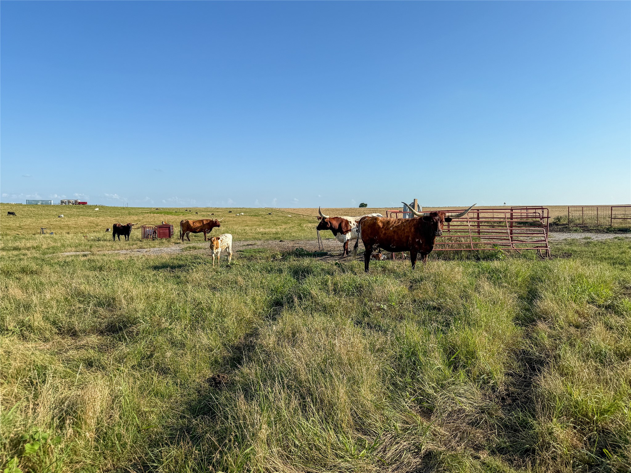 000 Fm 51 Road Sanger TX 76226