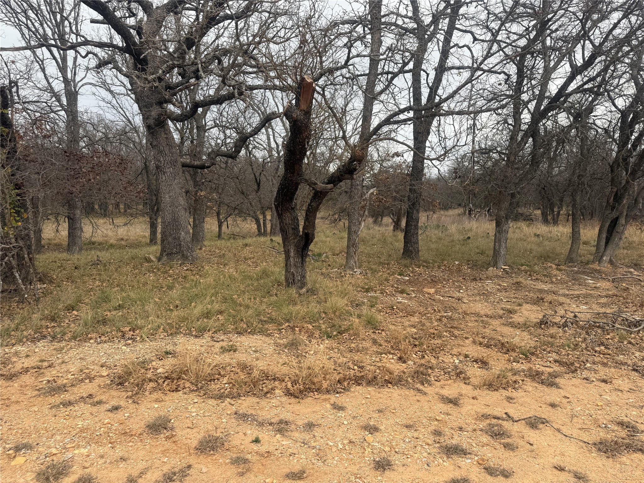 Tbd Tamarack Drive May TX 76857