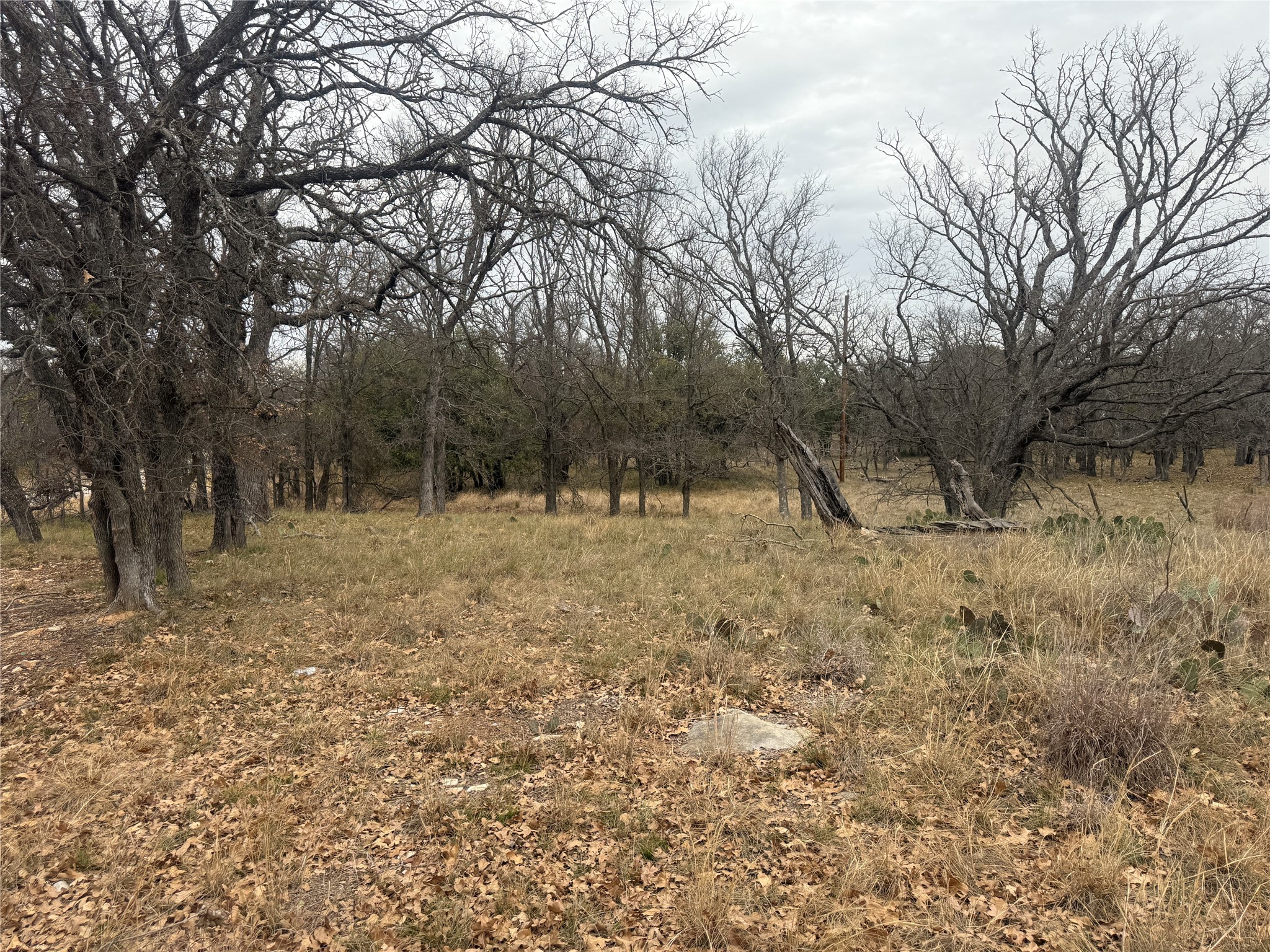 Tbd Tamarack Drive May TX 76857