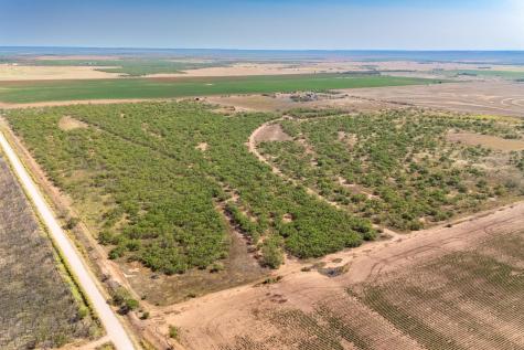 15995 County Road 466 Merkel TX 79536
