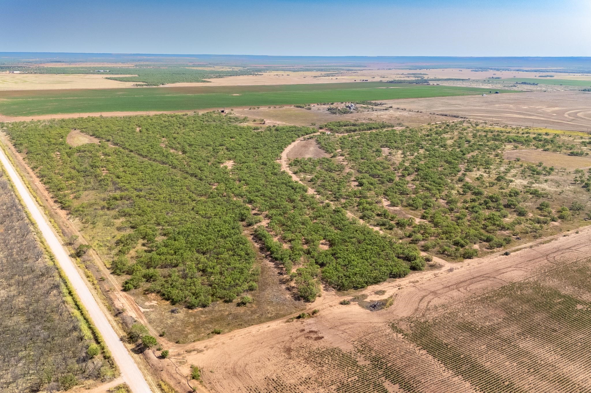 15995 County Road 466 Merkel TX 79536