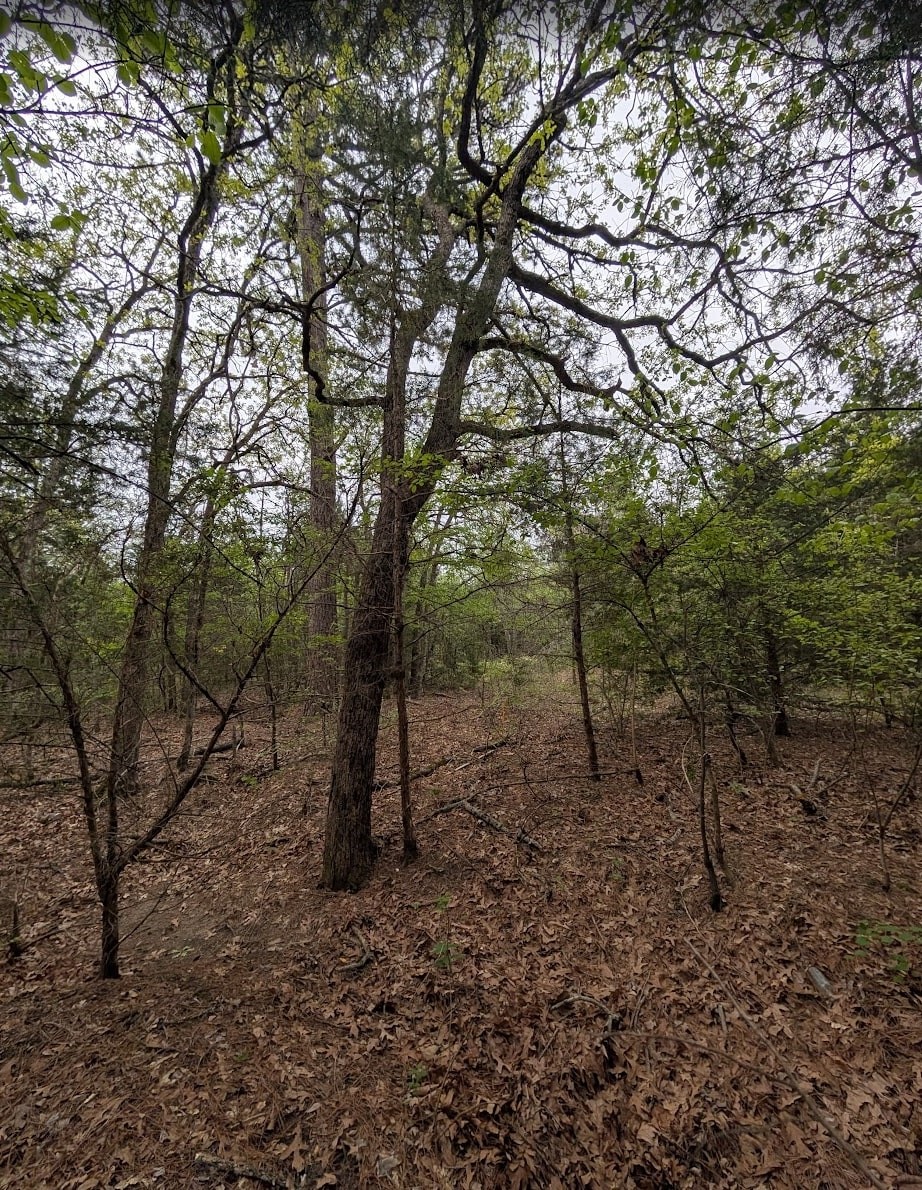 7229 Cr 4837 Larue TX 75770