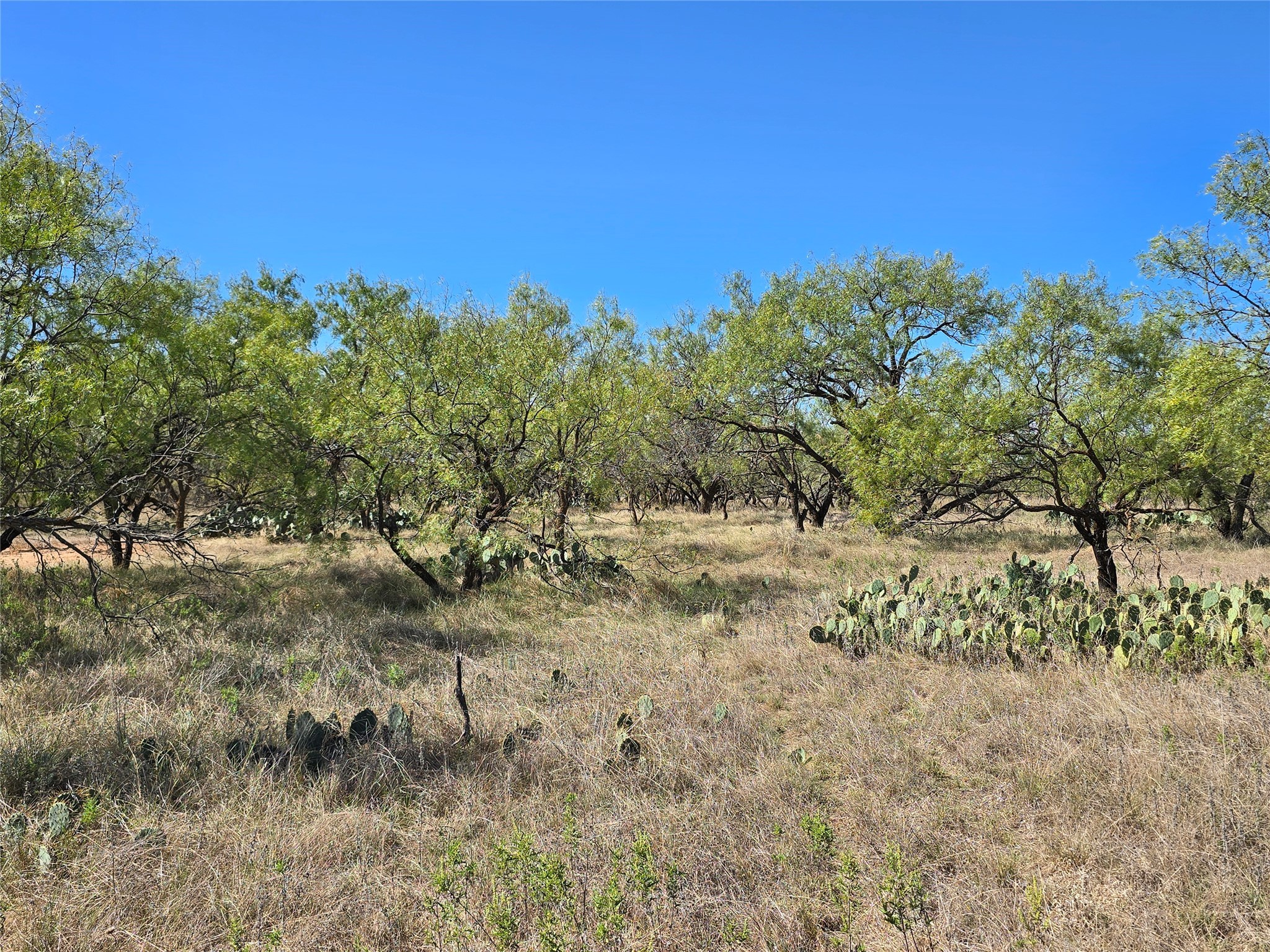 8447 County Road 210 Clyde TX 79510