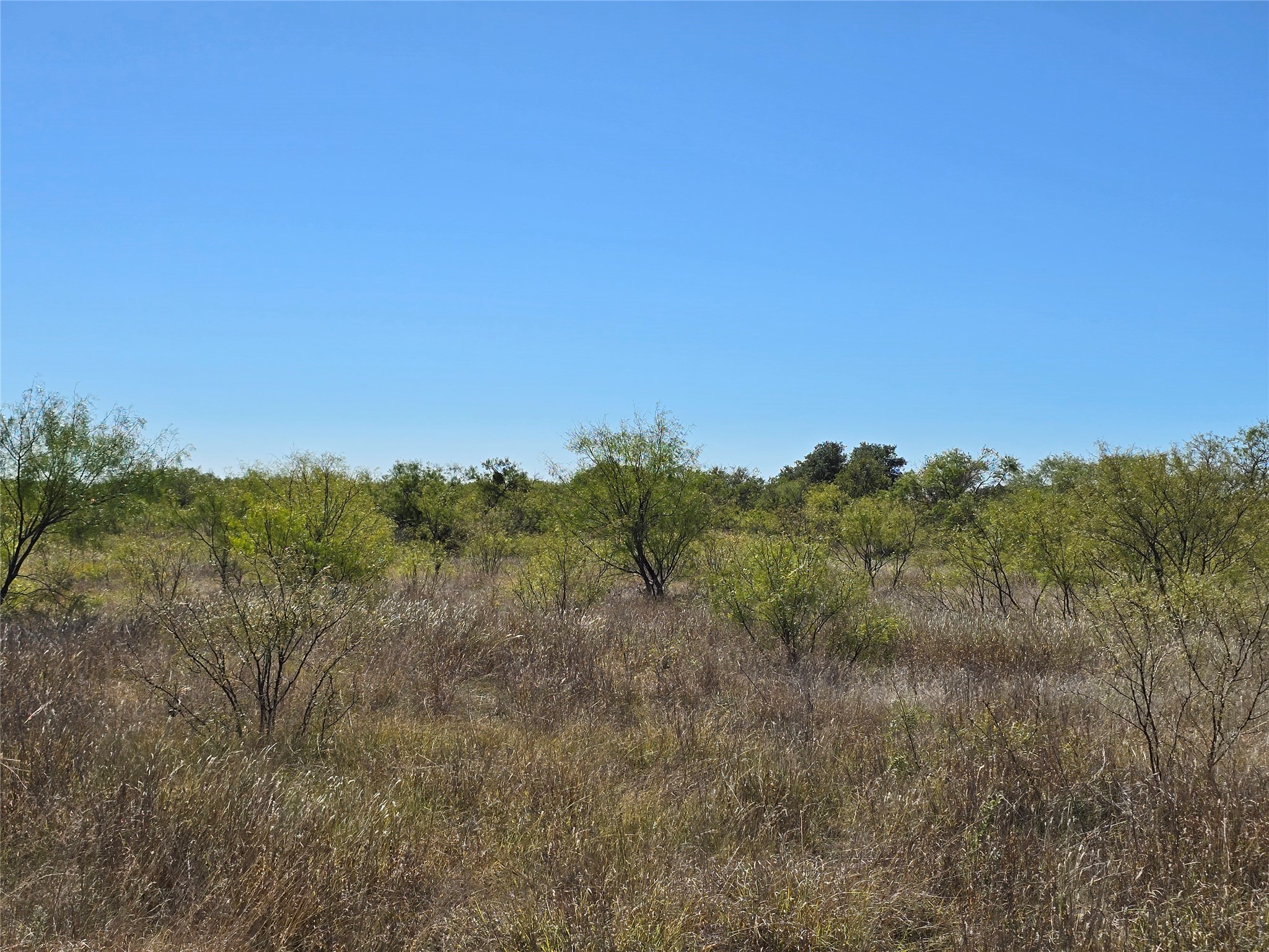 8447 County Road 210 Clyde TX 79510