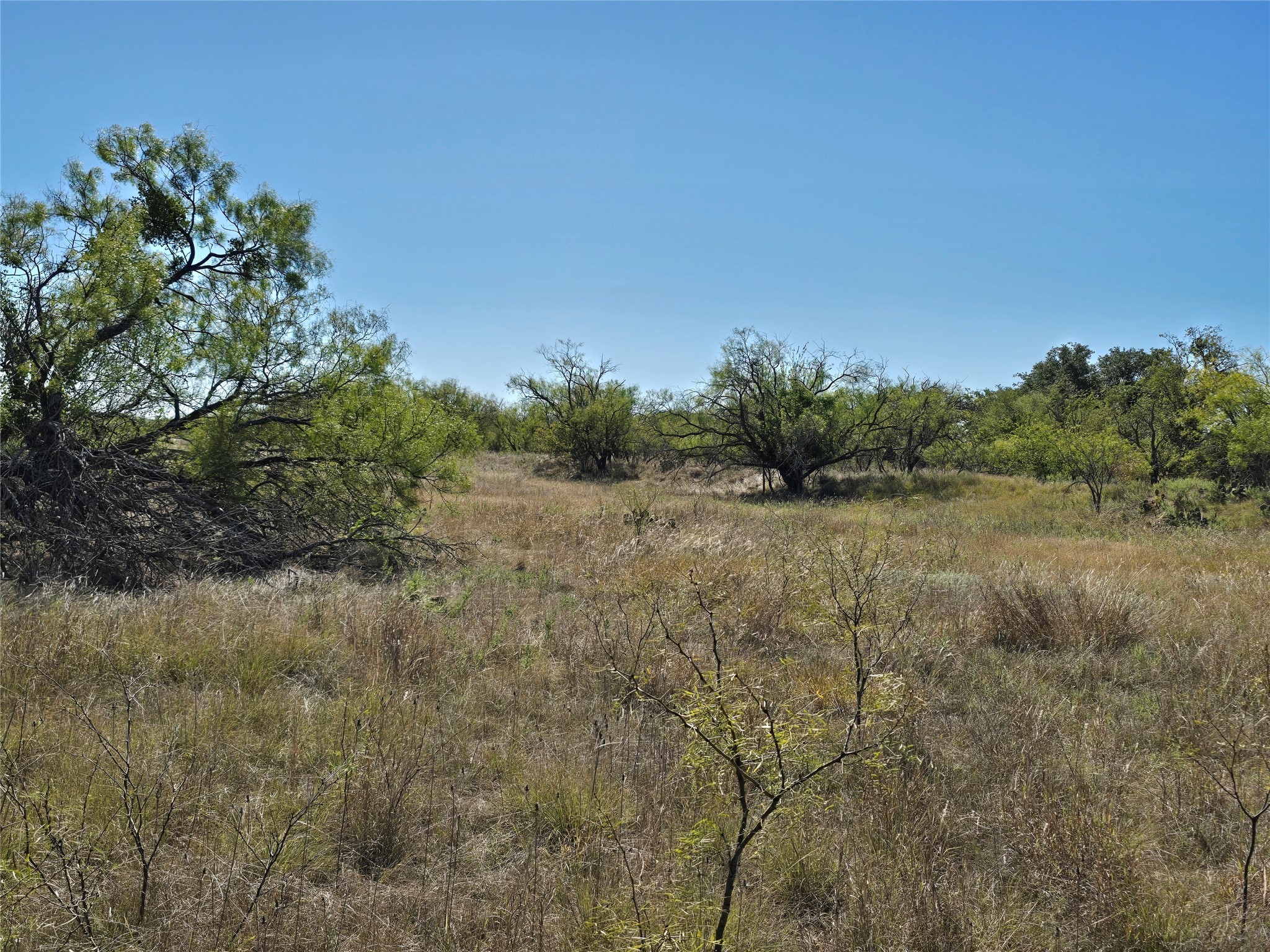 8447 County Road 210 Clyde TX 79510