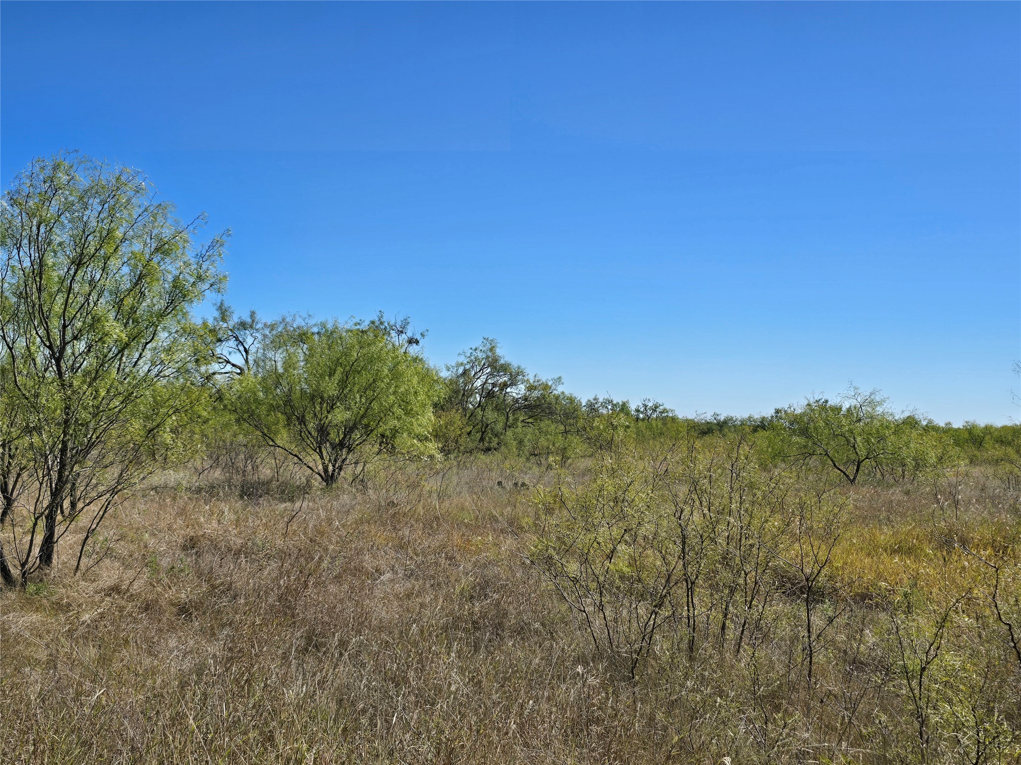 8447 County Road 210 Clyde TX 79510