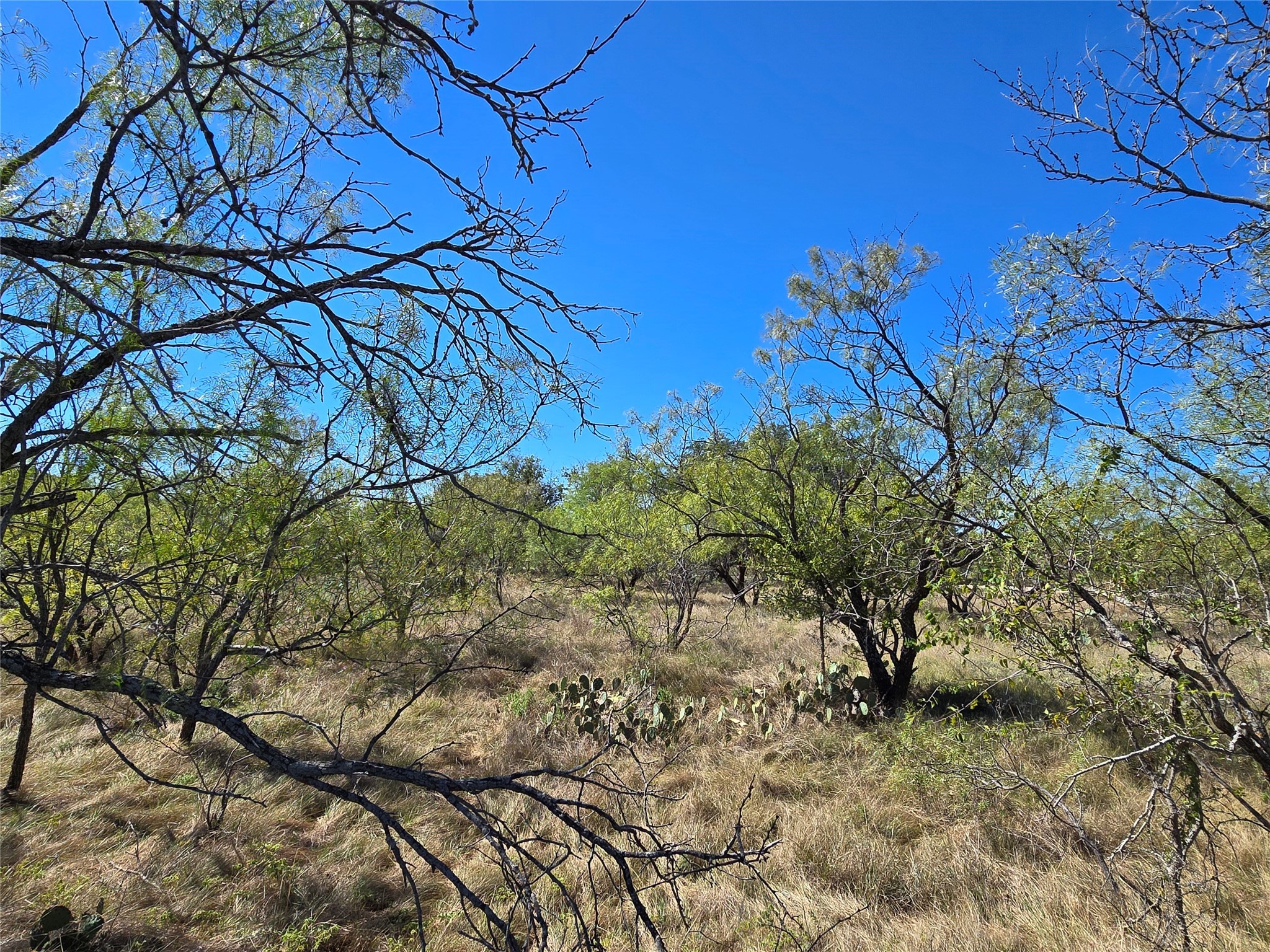 8447 County Road 210 Clyde TX 79510