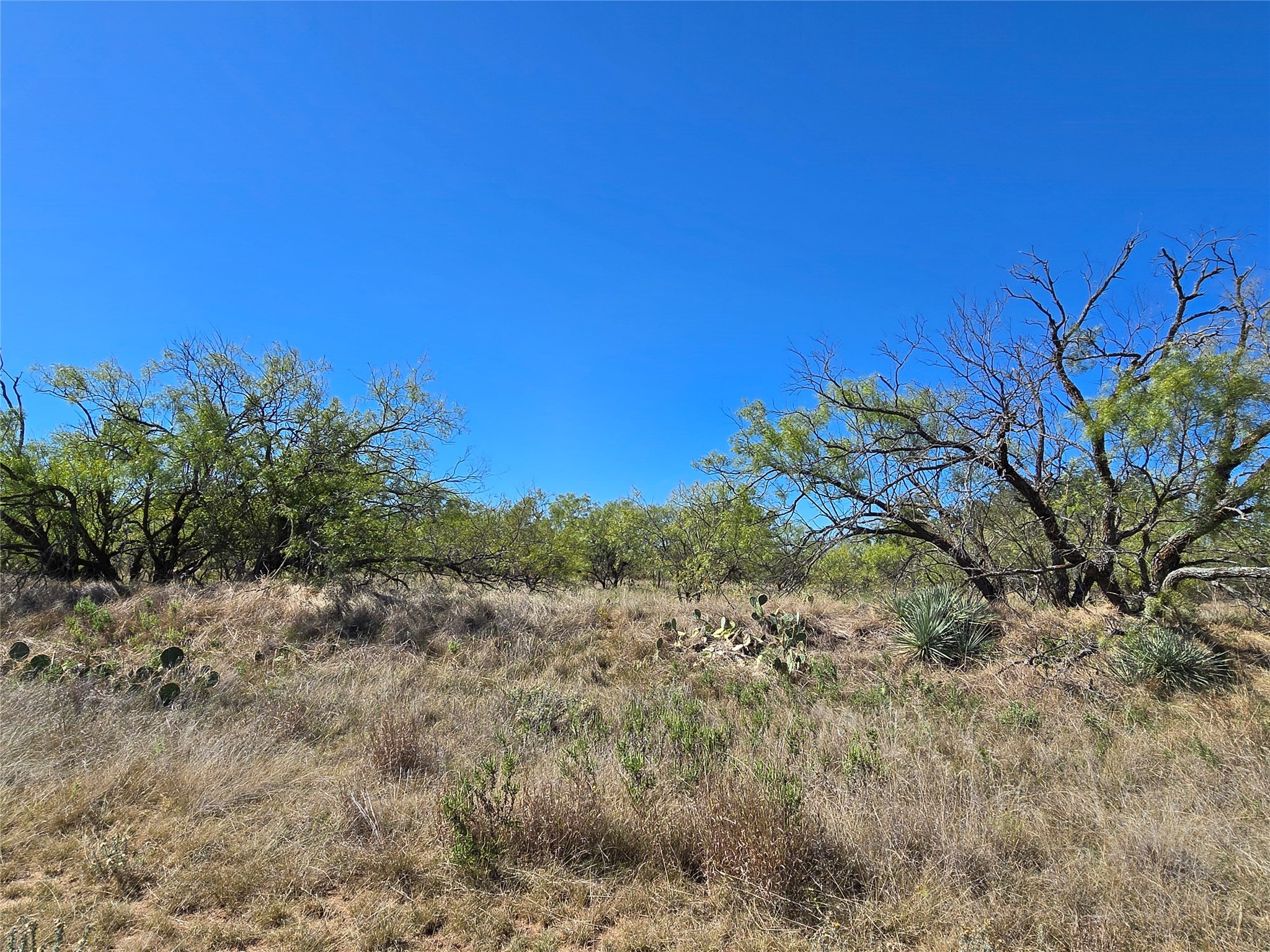 8447 County Road 210 Clyde TX 79510