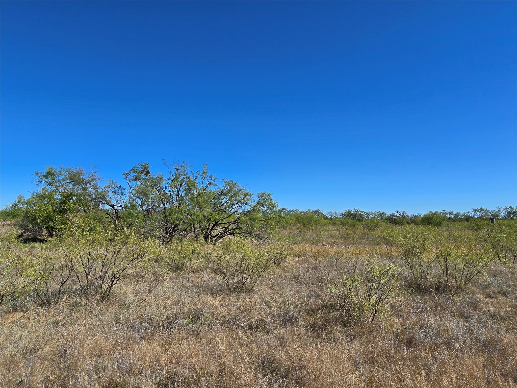 8447 County Road 210 Clyde TX 79510