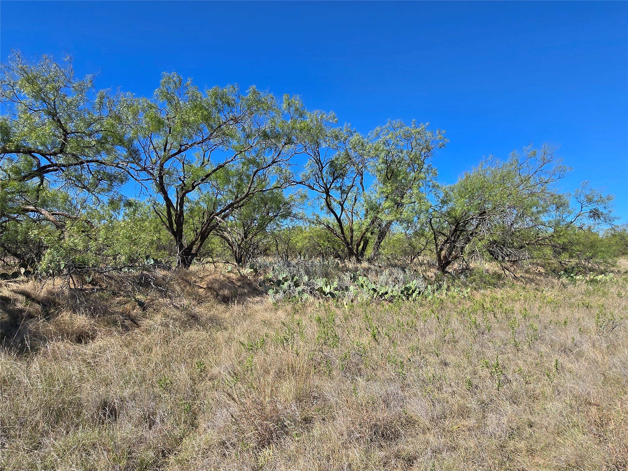 8447 County Road 210 Clyde TX 79510