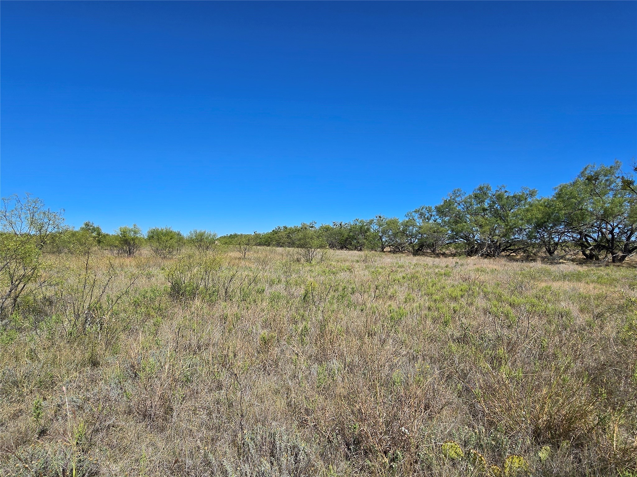 8447 County Road 210 Clyde TX 79510
