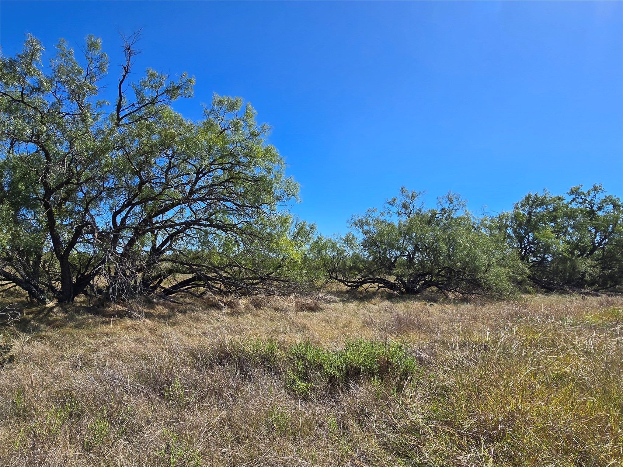 8447 County Road 210 Clyde TX 79510