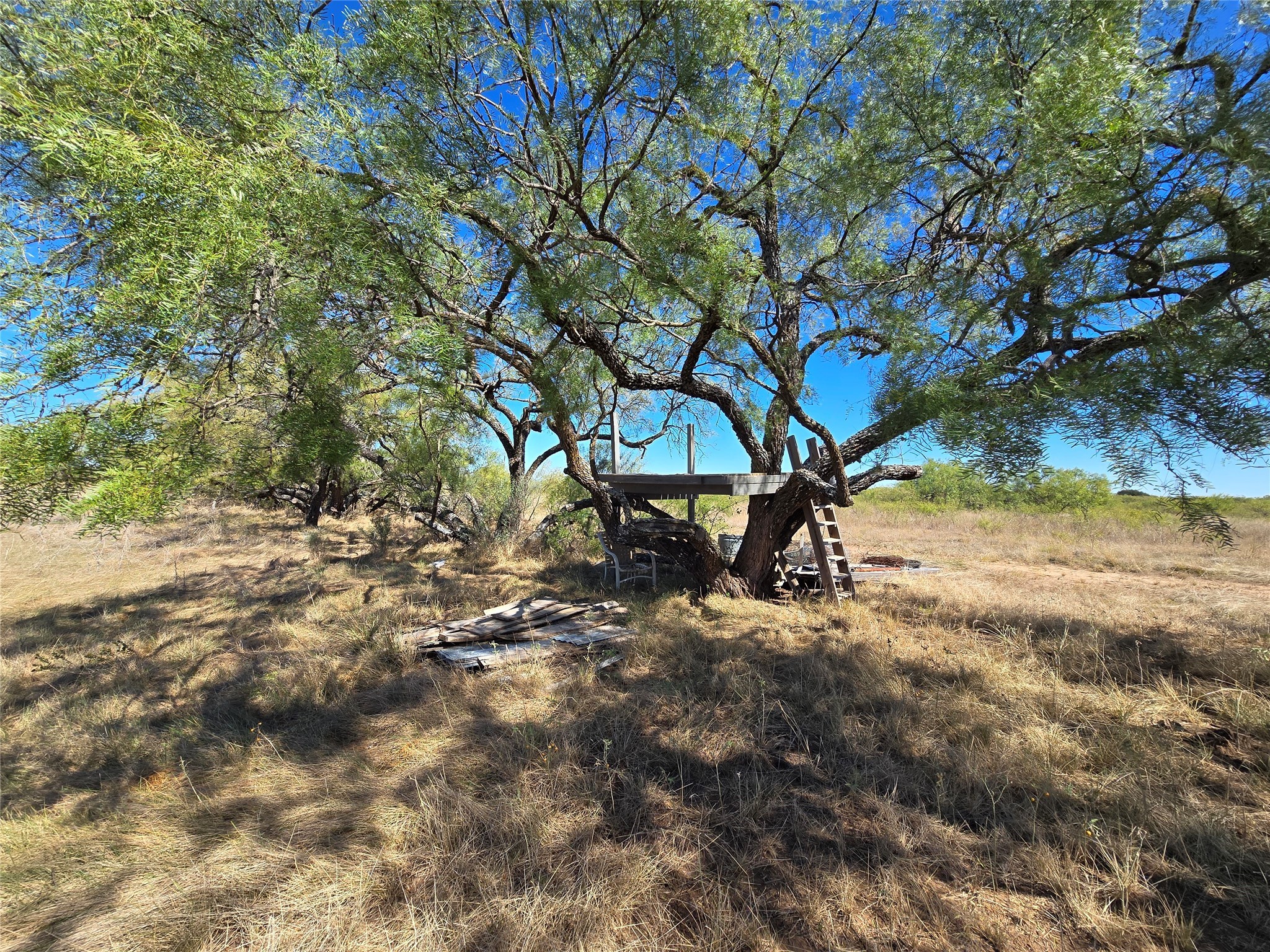 8447 County Road 210 Clyde TX 79510