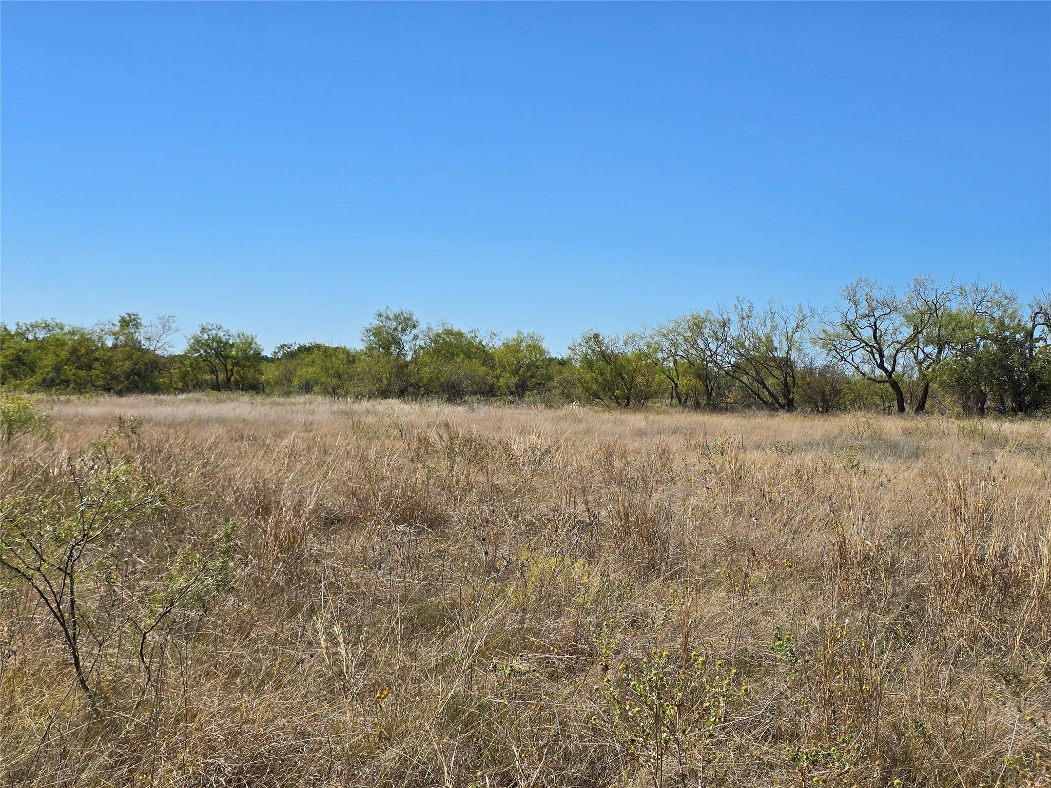 8447 County Road 210 Clyde TX 79510