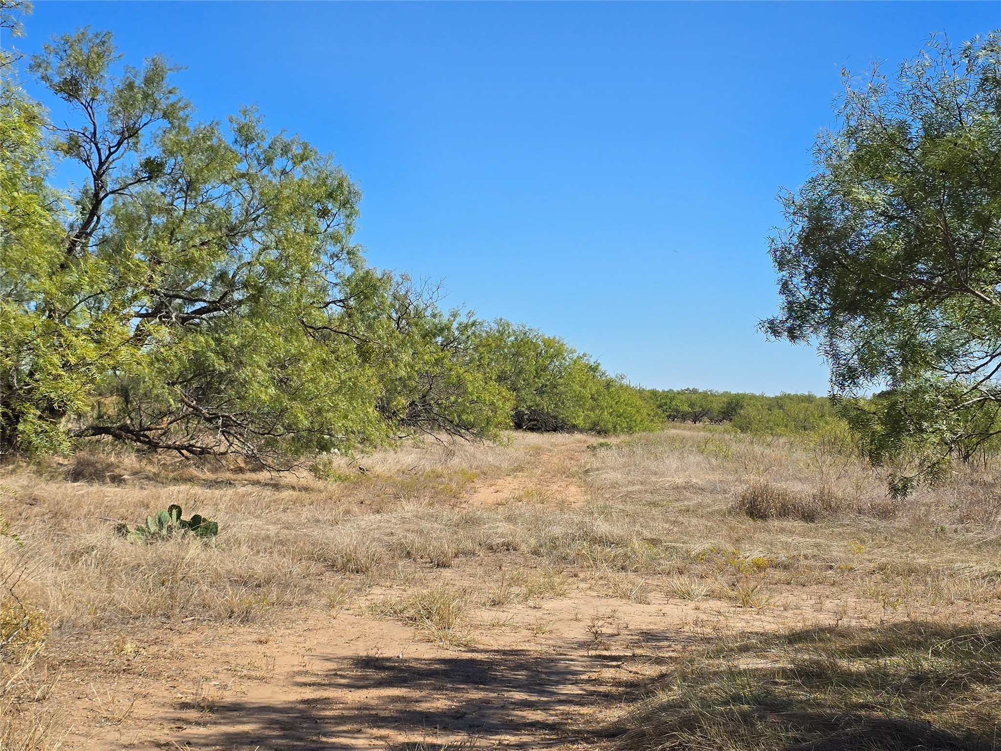 8447 County Road 210 Clyde TX 79510