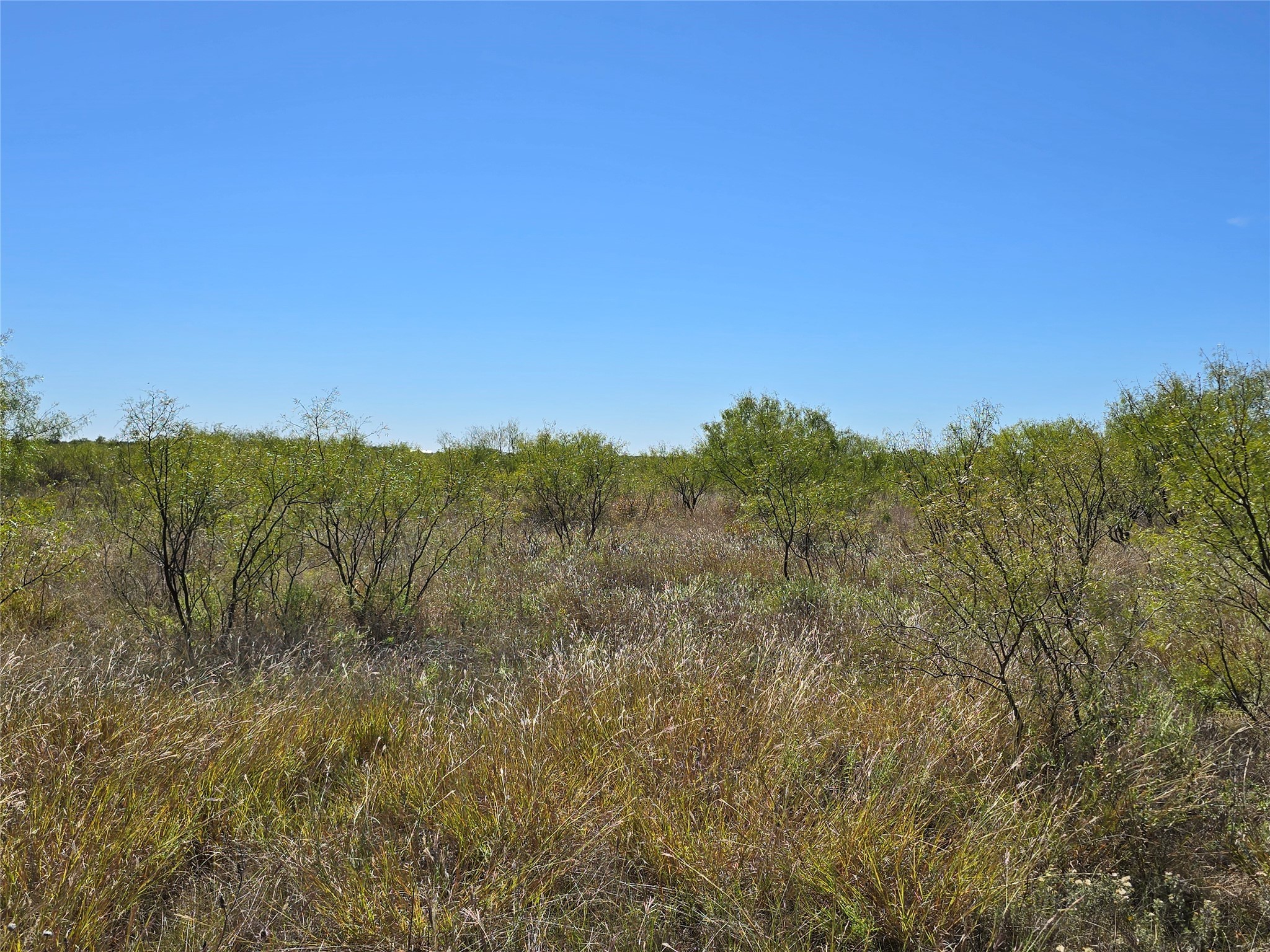 8447 County Road 210 Clyde TX 79510