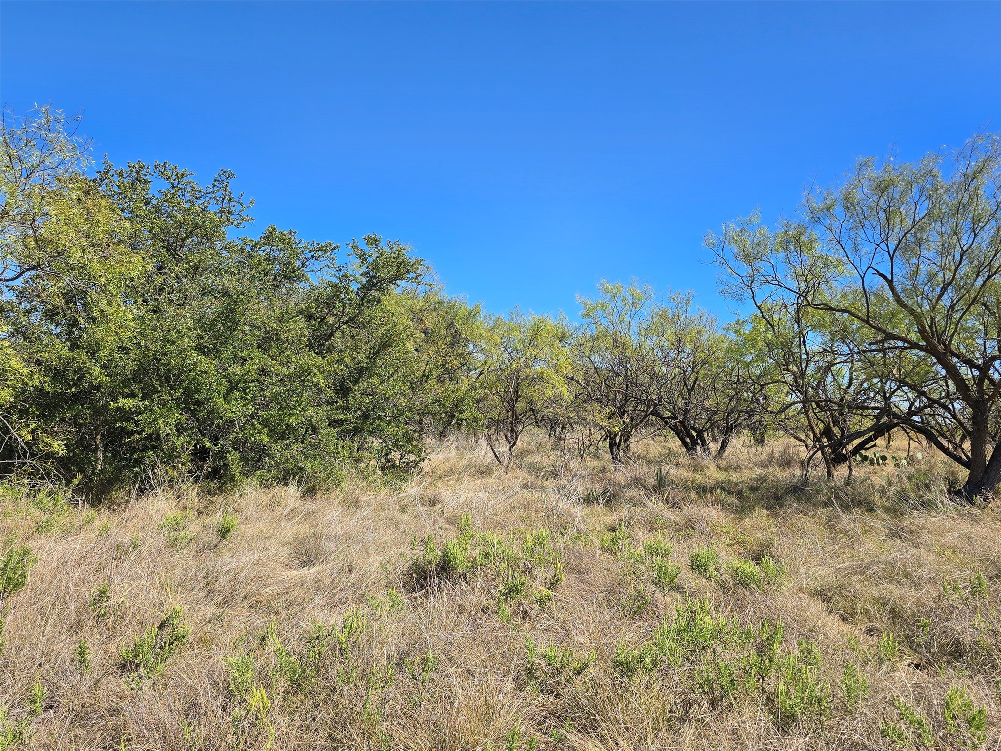 8447 County Road 210 Clyde TX 79510