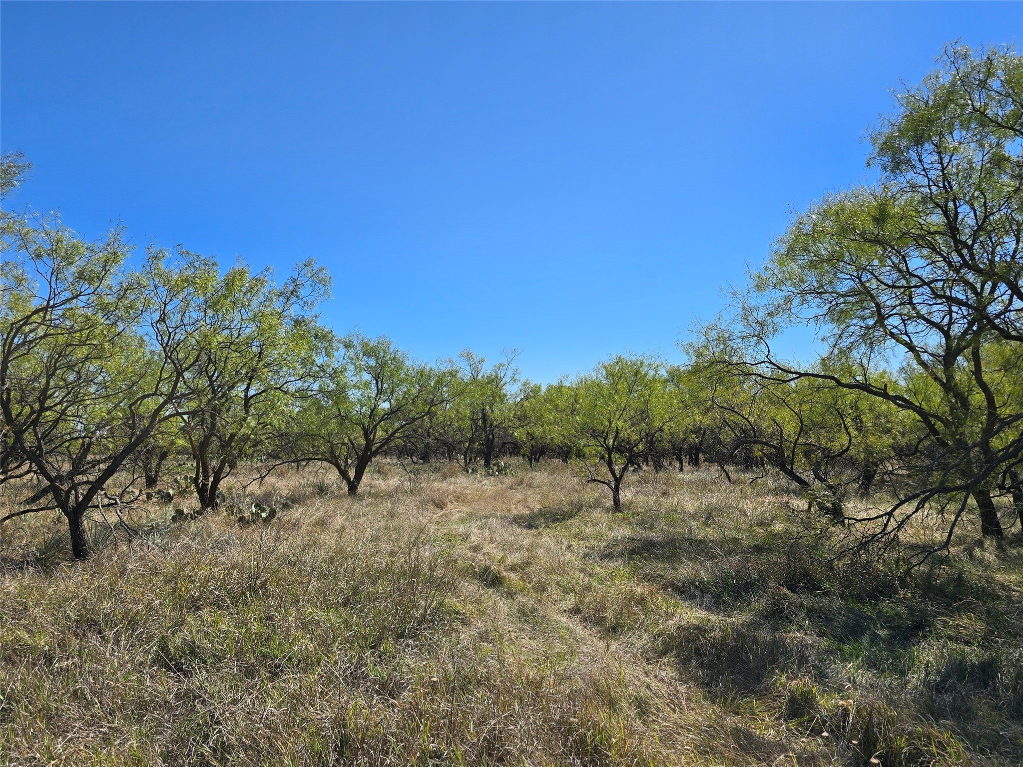 8447 County Road 210 Clyde TX 79510